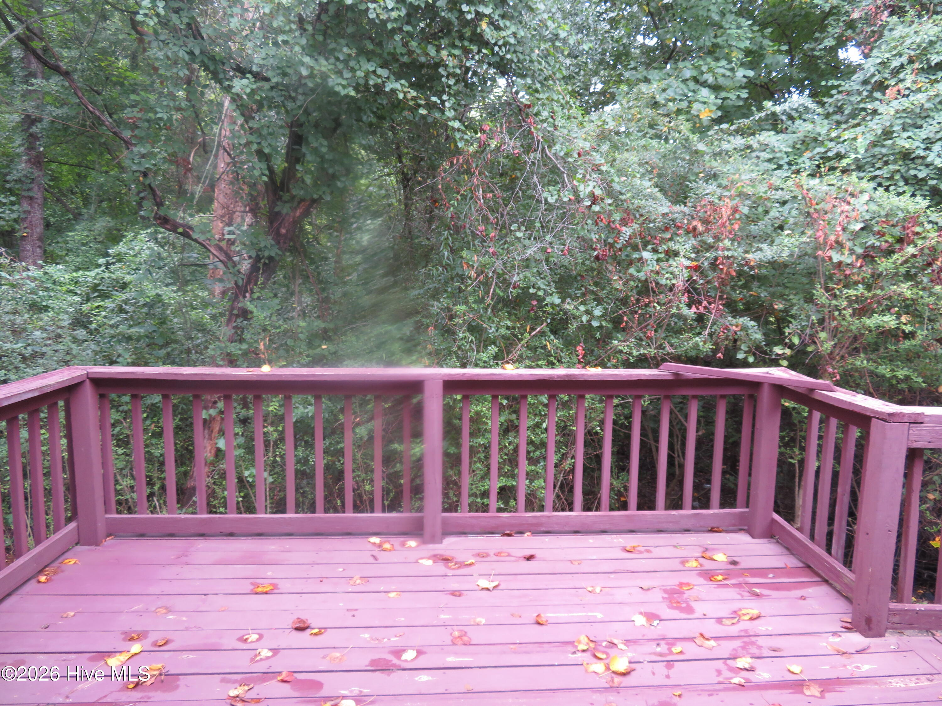 100590412 | Photo 22