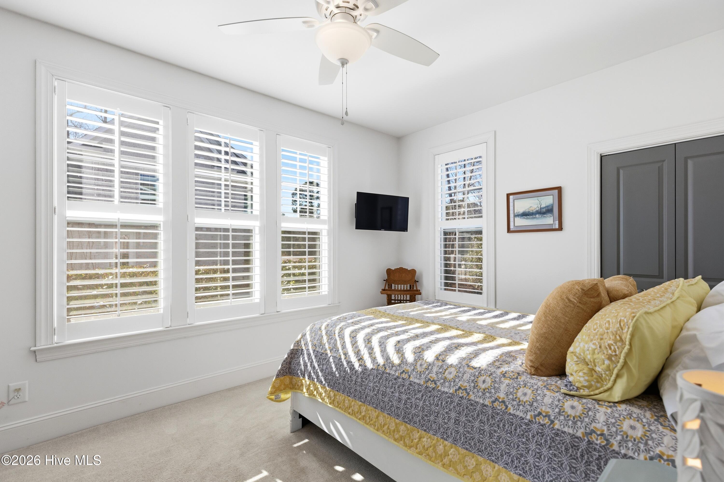 100556078 | Photo 63