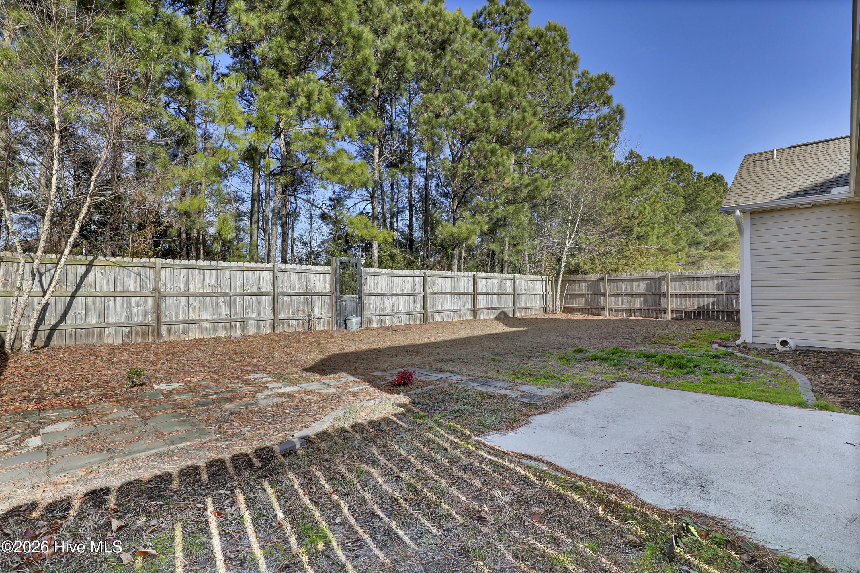 100549812 | Photo 26