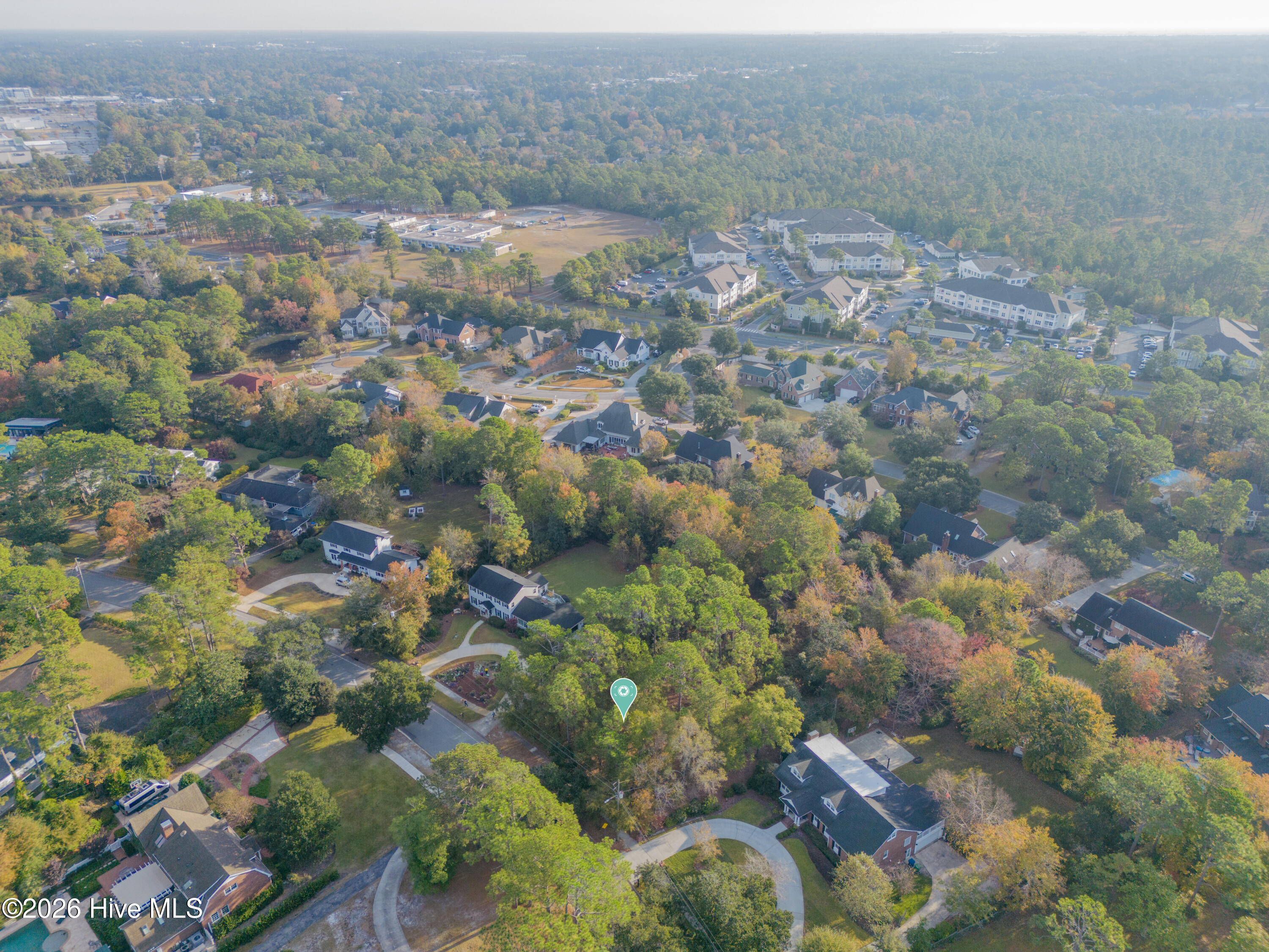 100553648 | Photo 64