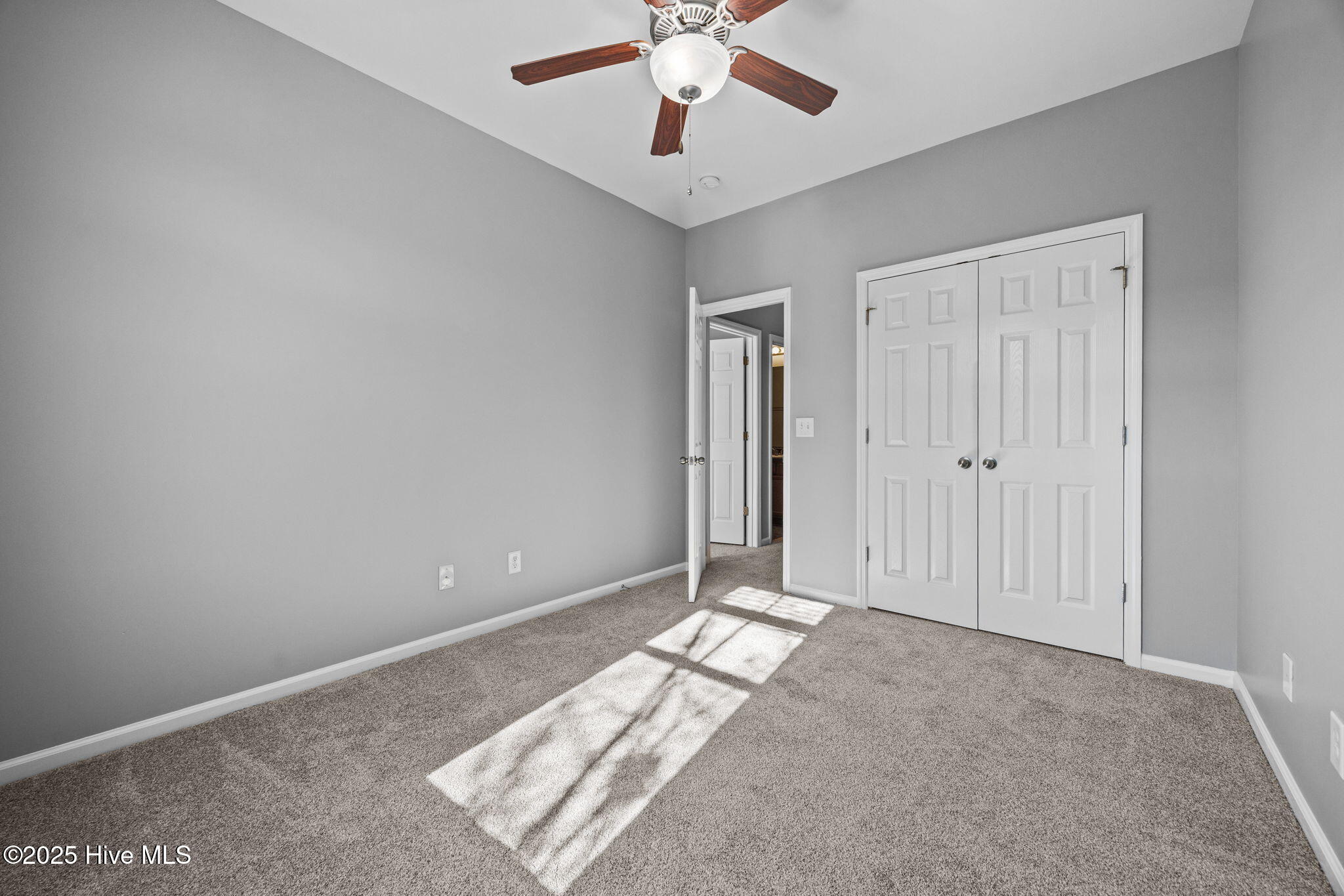 100533733 | Photo 19