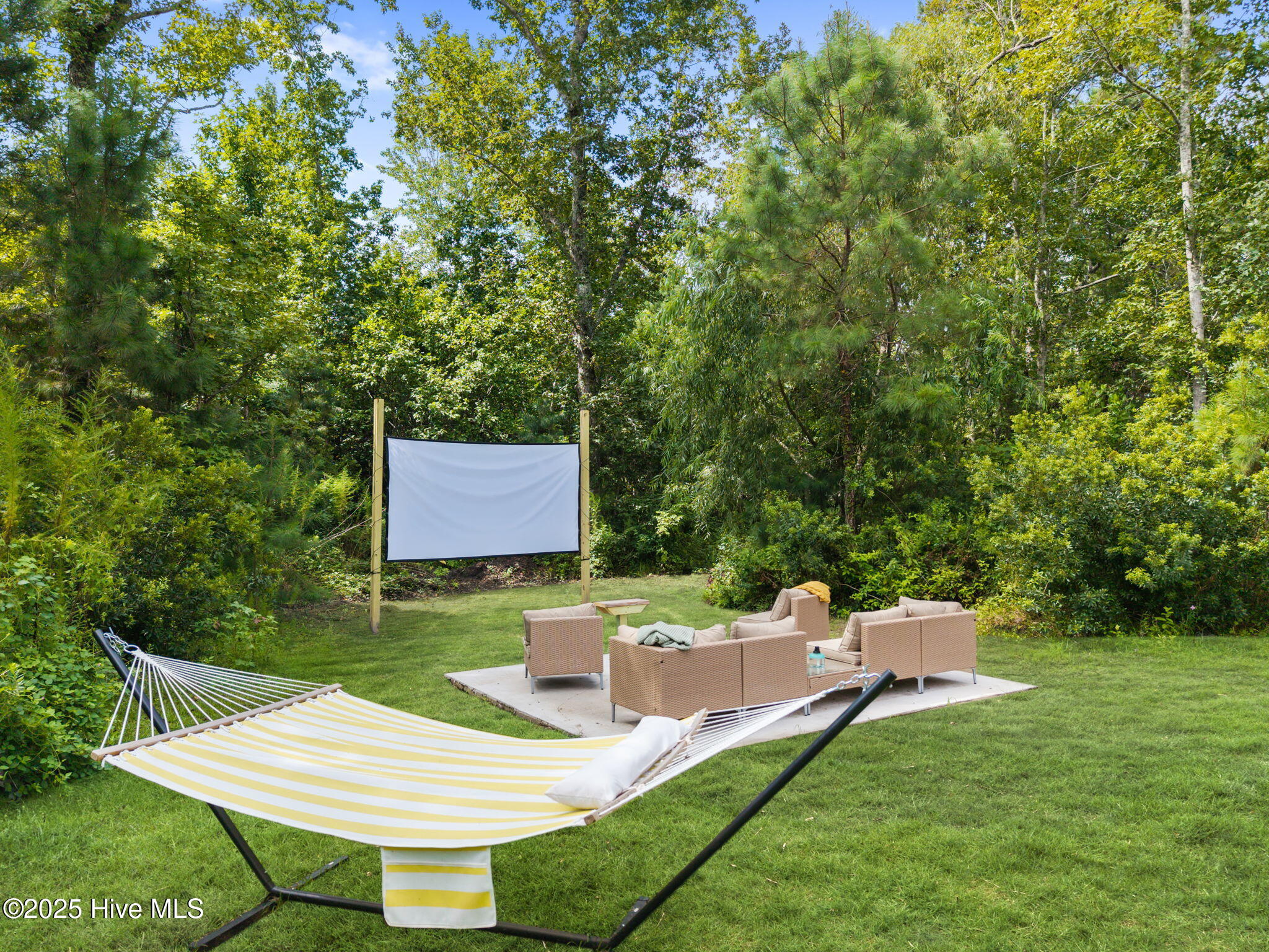 100537290 | Photo 31