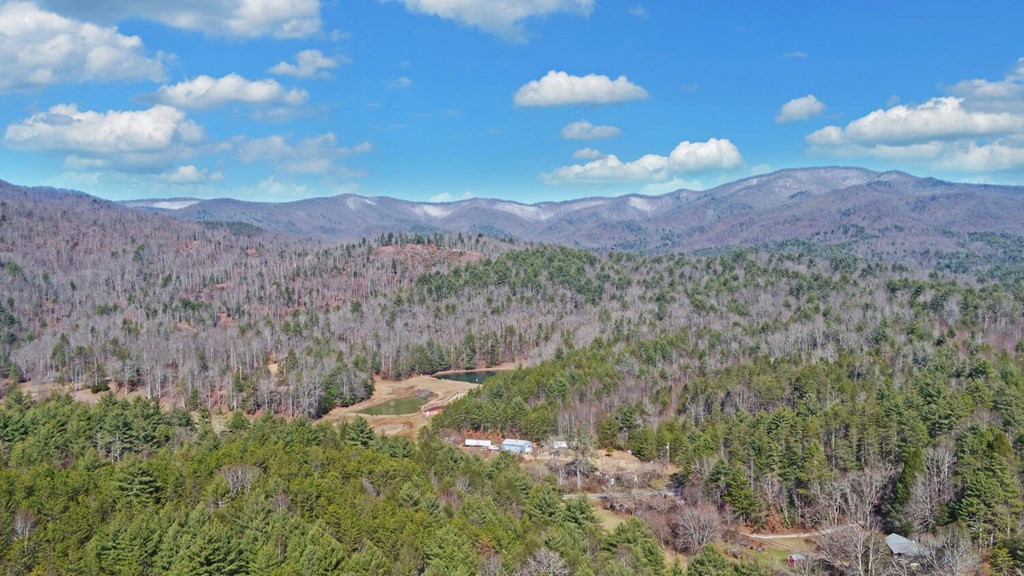 483 Vineyard Creek Way, Murphy, NC 28906 Listing Photo  57