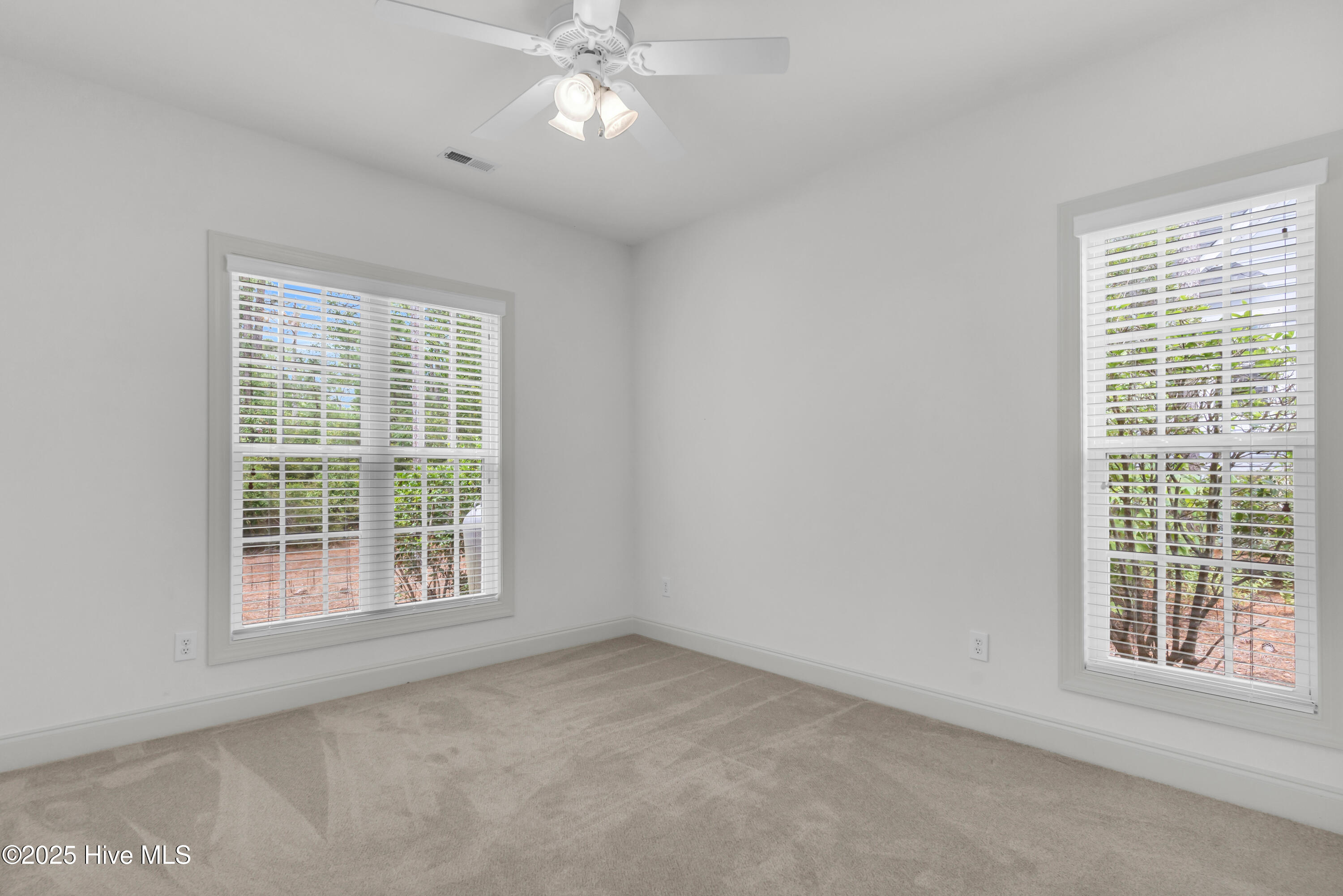 100523896 | Photo 30