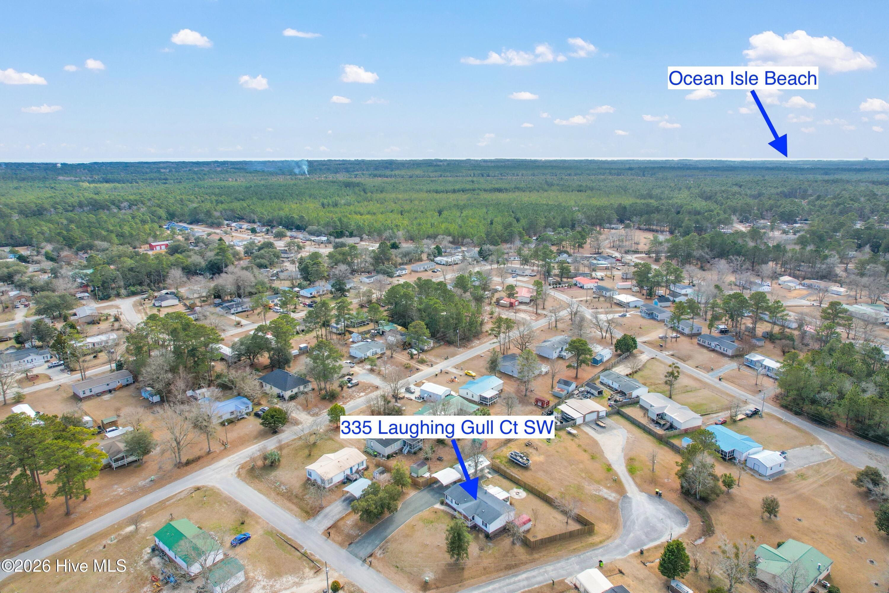 100553657 | Photo 50