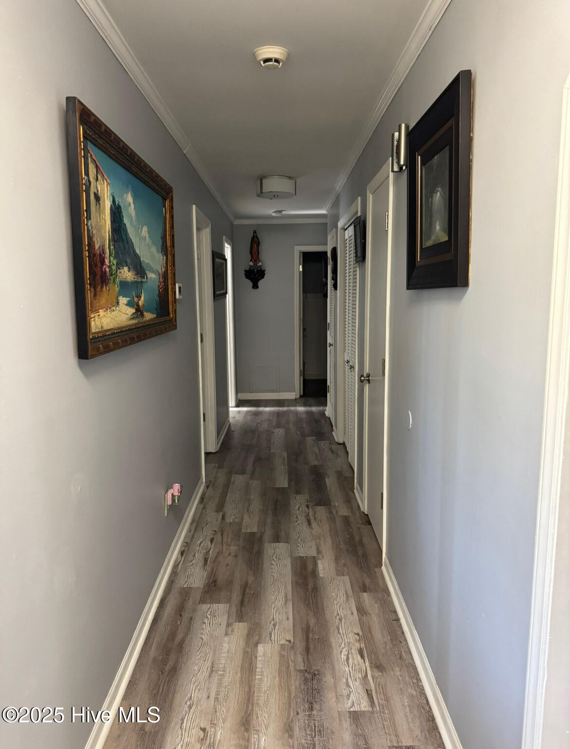909 Springdale Drive, Jacksonville, NC 28540 – photo 24: IMG_1705