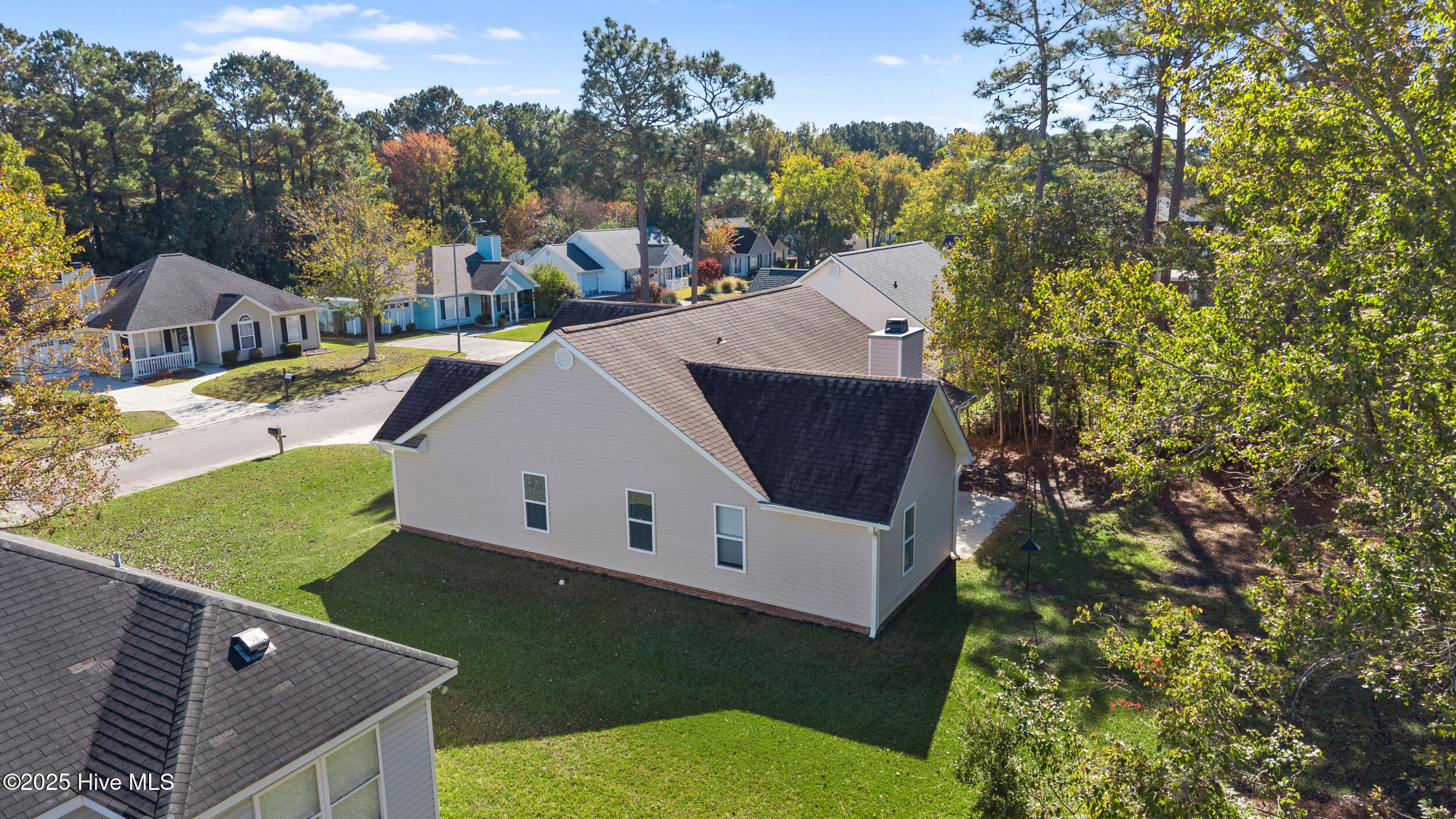 100540113 | Photo 28