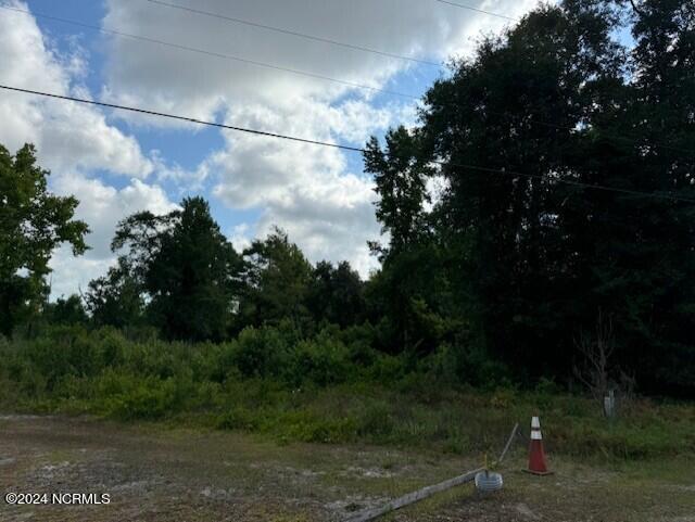 100569923 | Photo 10