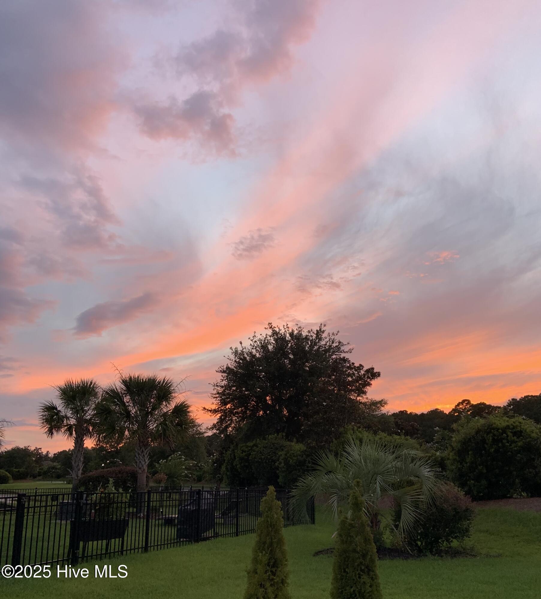 100527914 | Photo 36