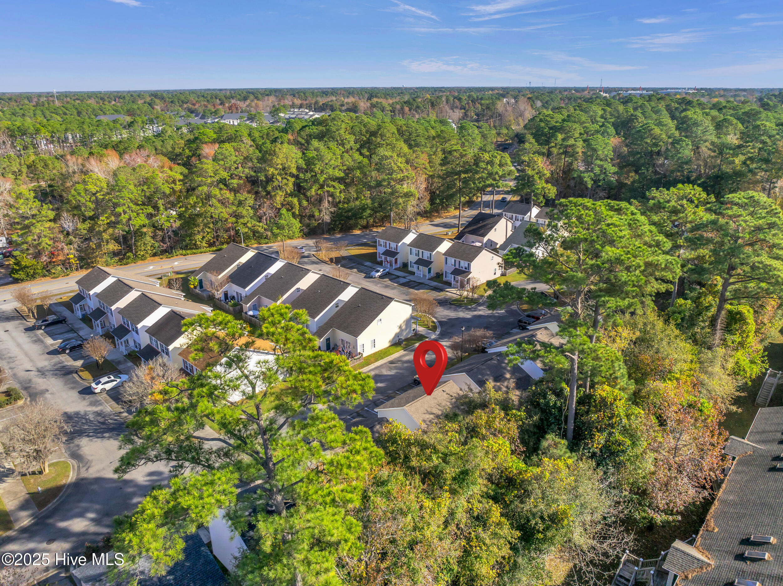 100543568 | Photo 30