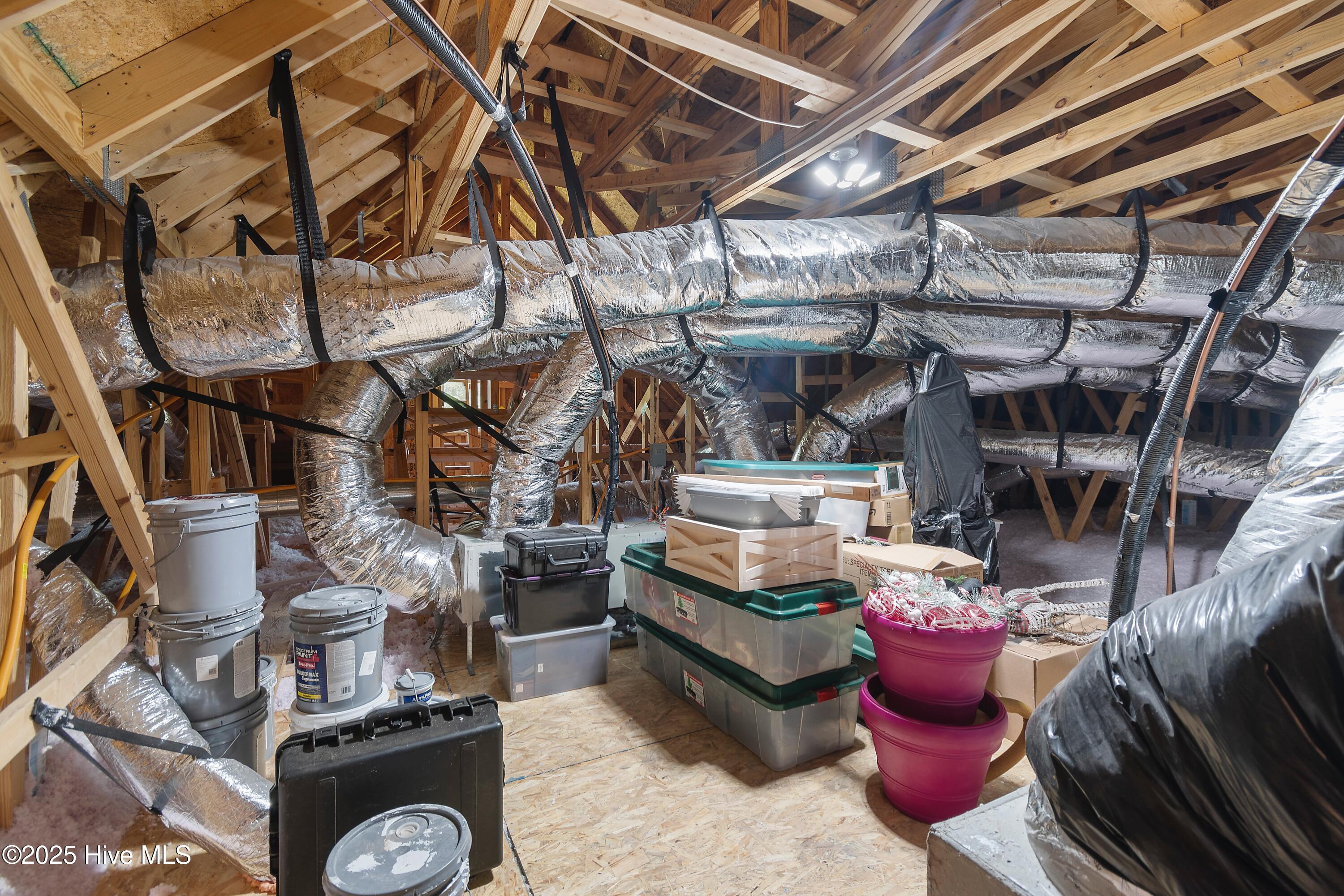 100518411 | Photo 49