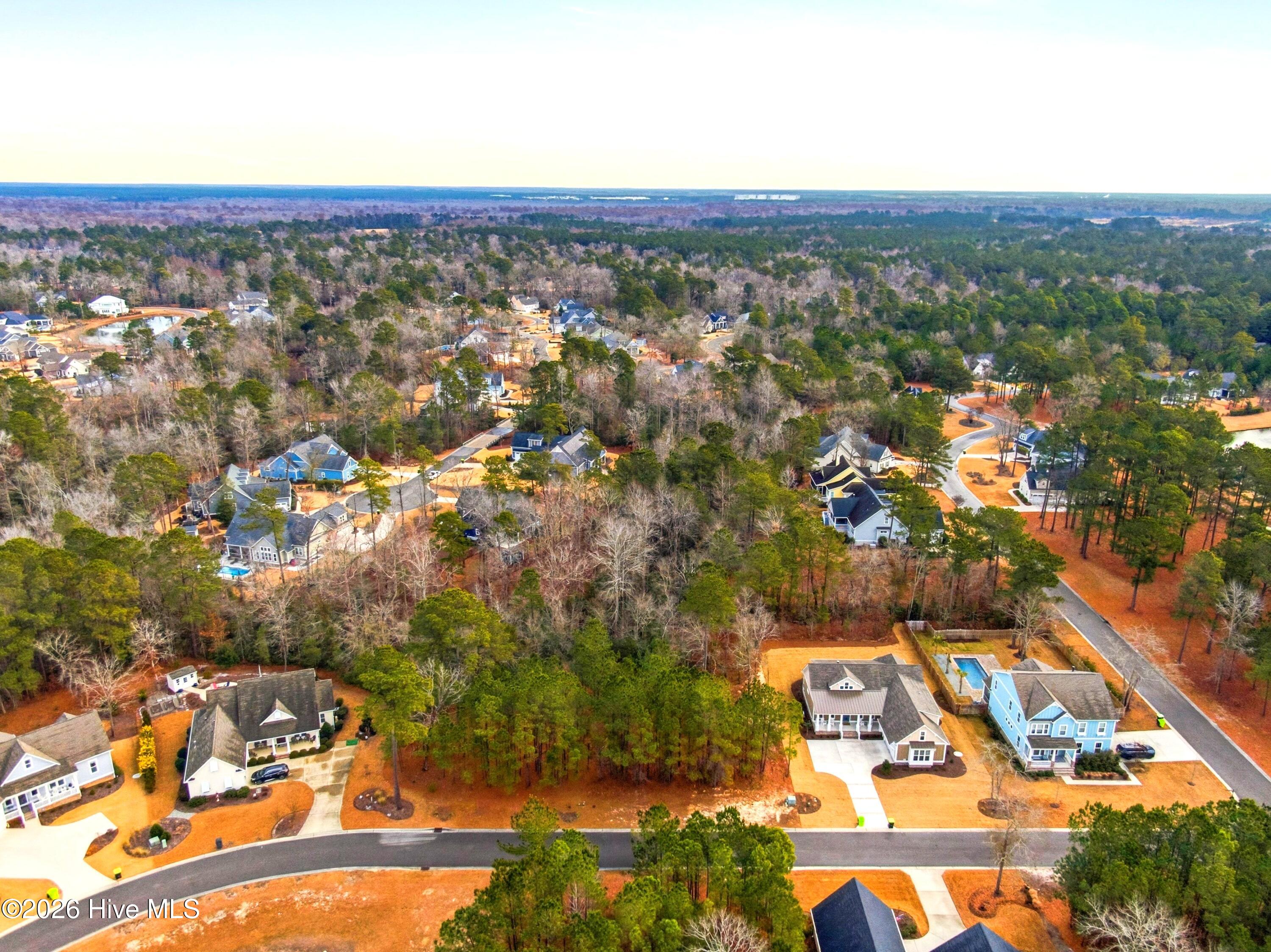 100551490 | Photo 19