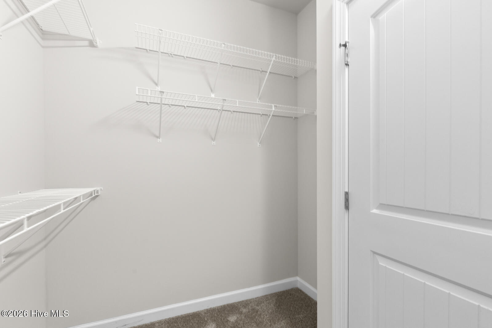 100553181 | Photo 21