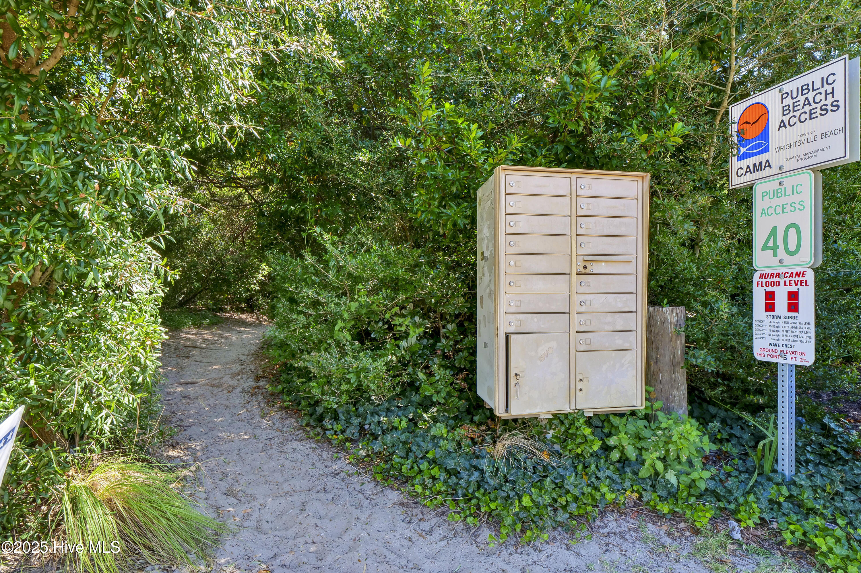 100525301 | Photo 68