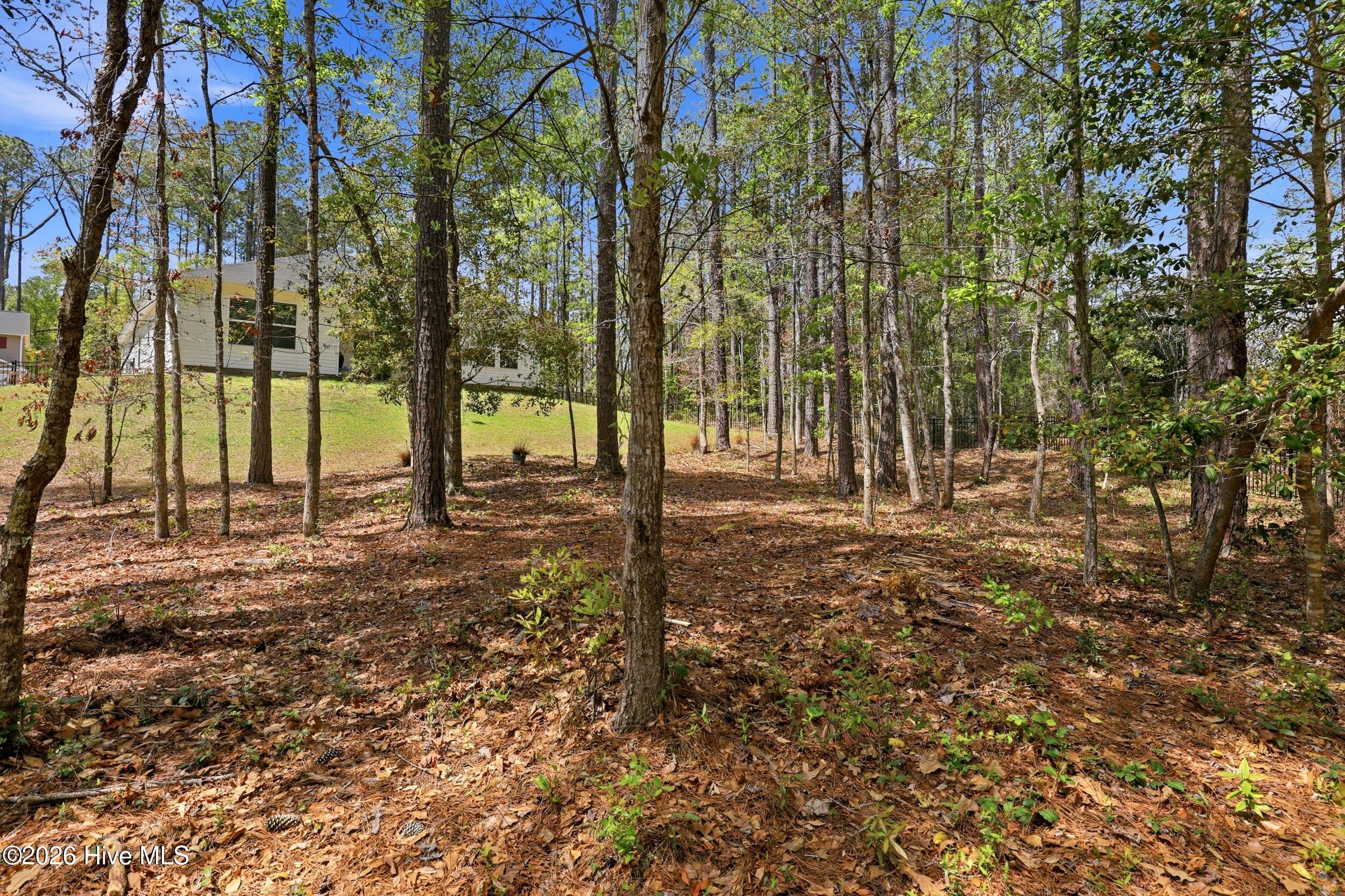 100565948 | Photo 43