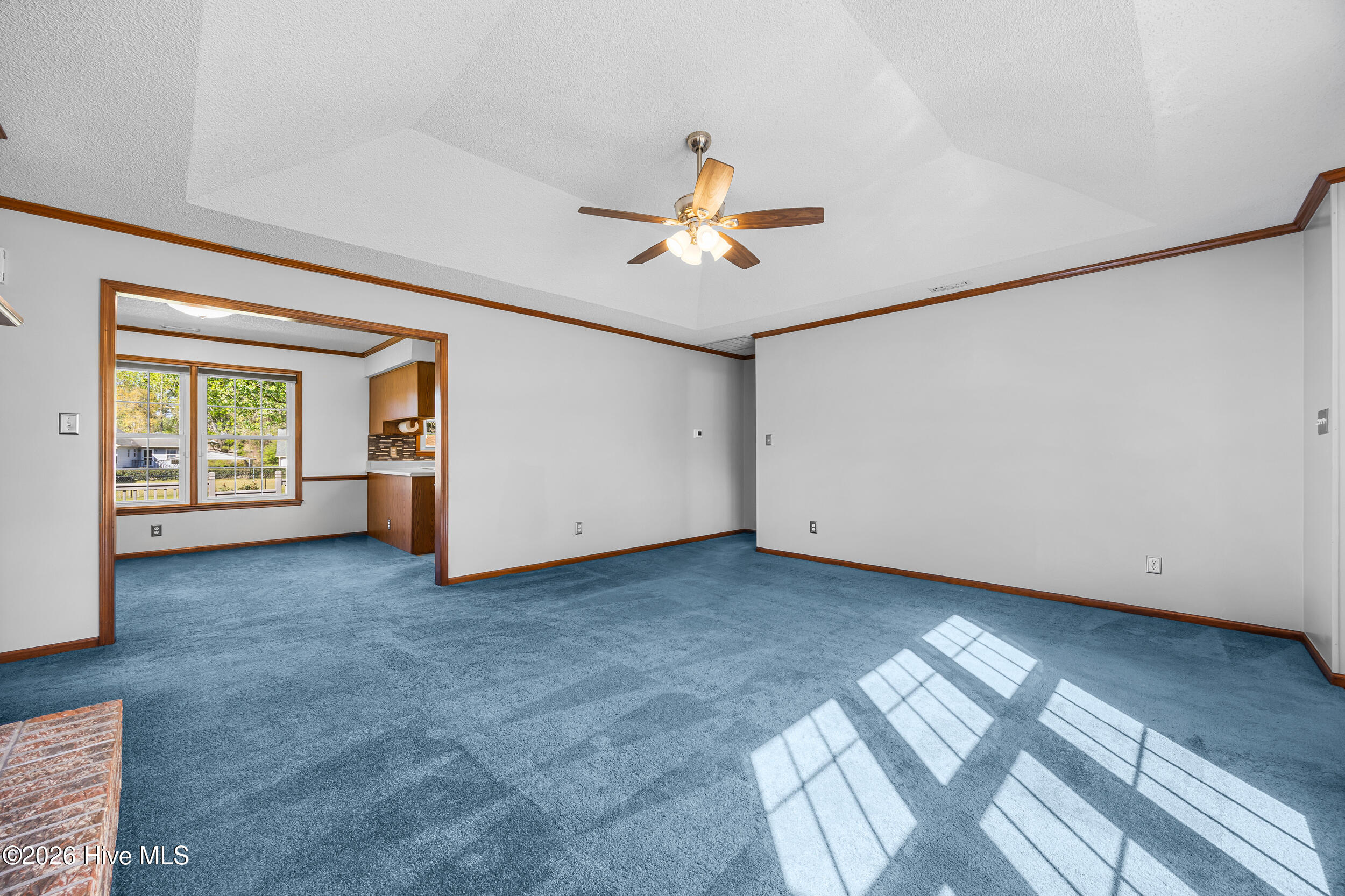 100565895 | Photo 30