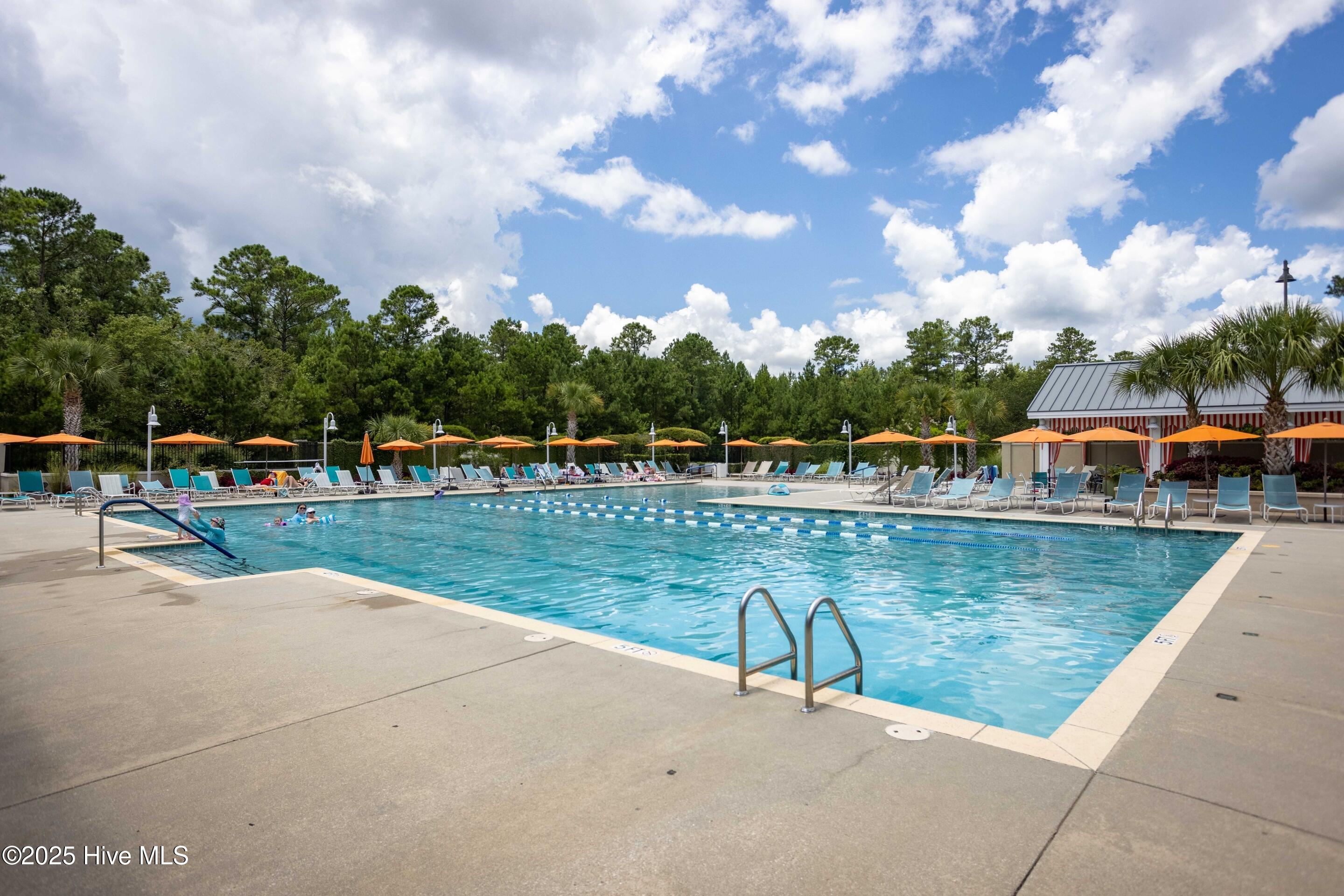 100531261 | Photo 89