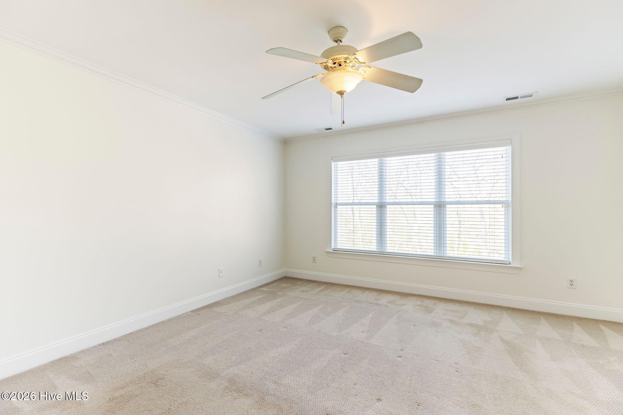 100560146 | Photo 27