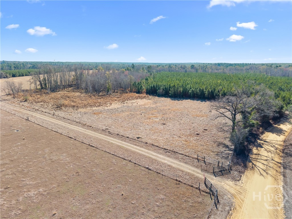 Homes for sale in Portal, GA | 2001 Tru Fail Xing, Portal, GA 30425 | MLS# SA347614