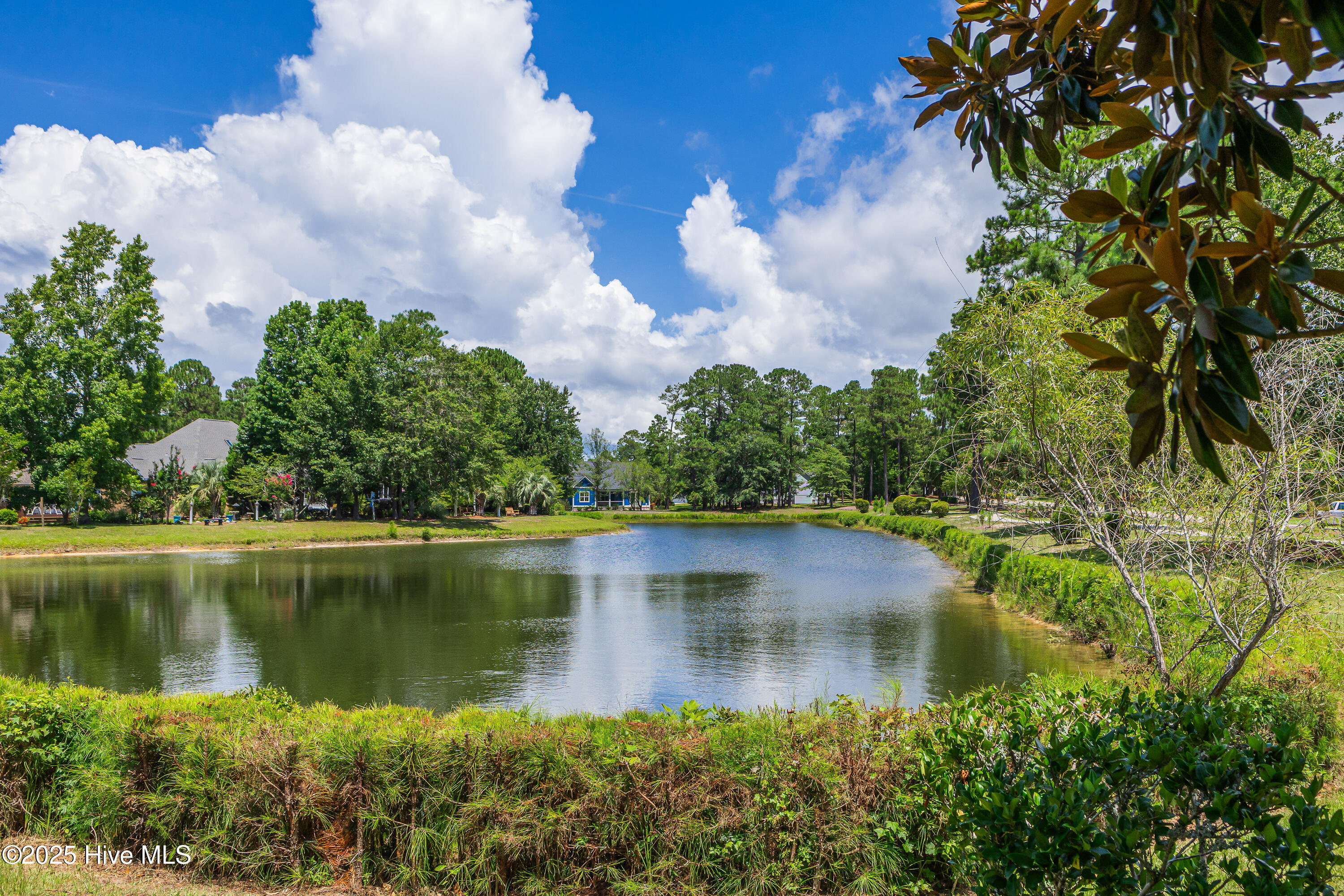 100519190 | Photo 41