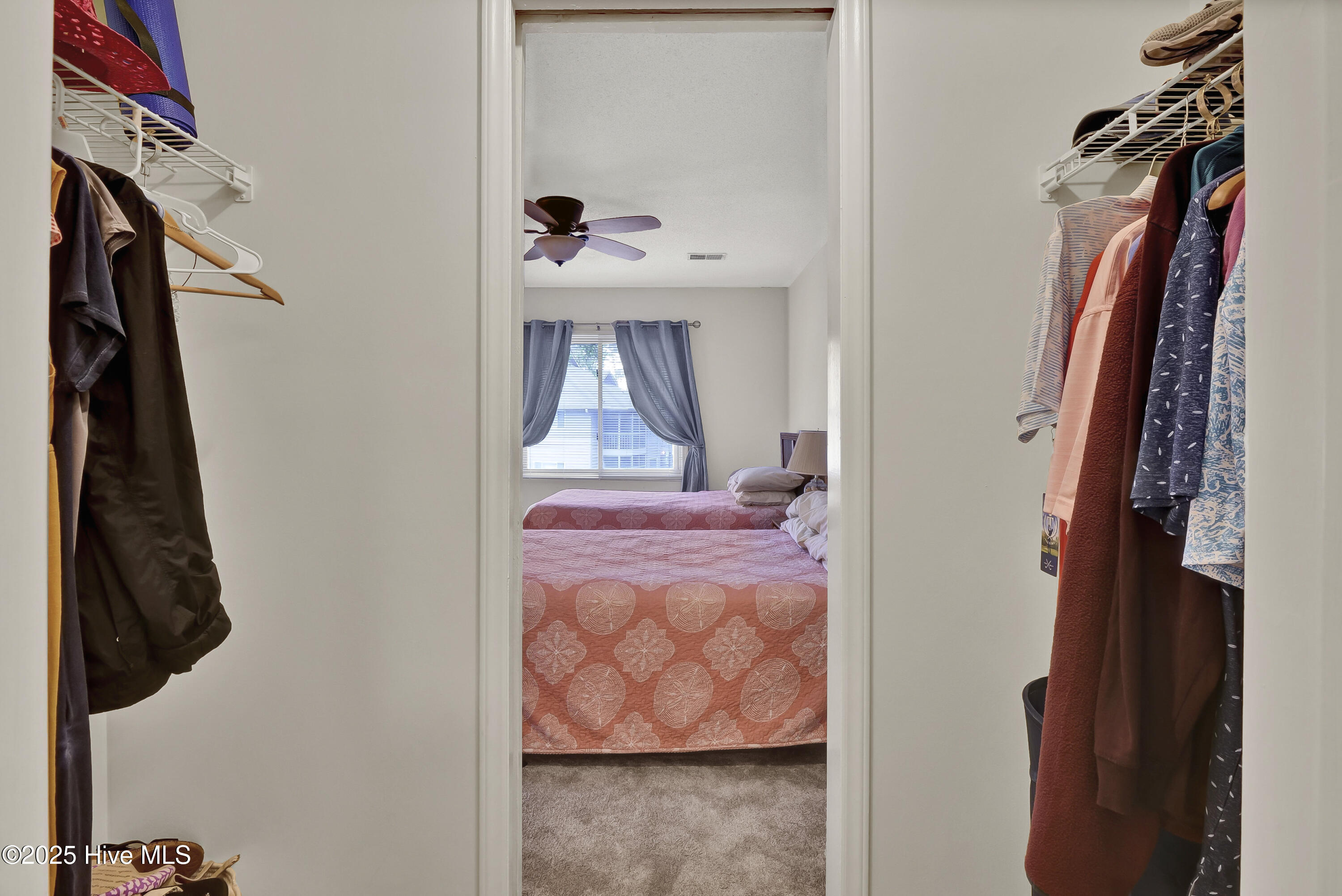 100508575 | Photo 17