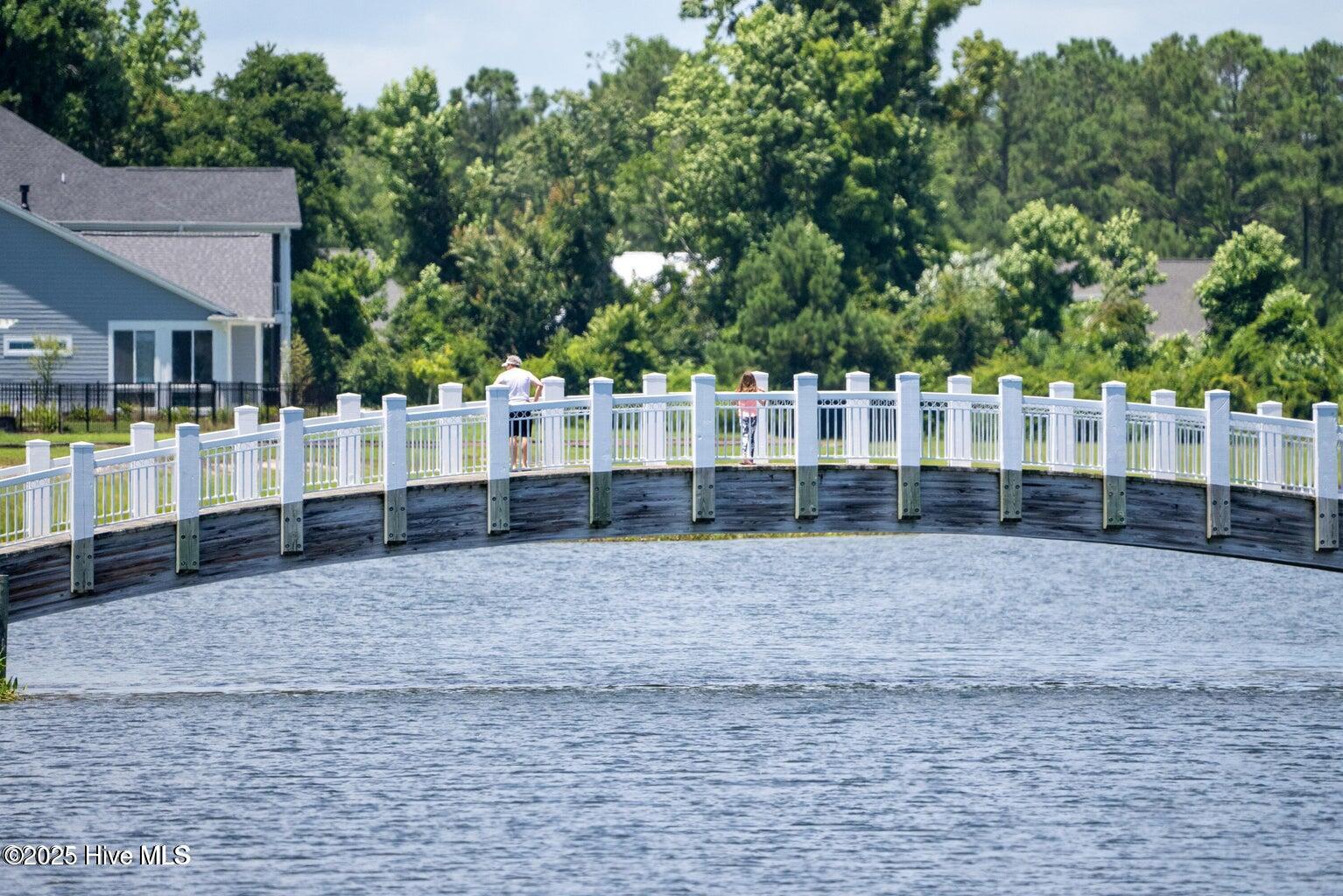 100519801 | Photo 28