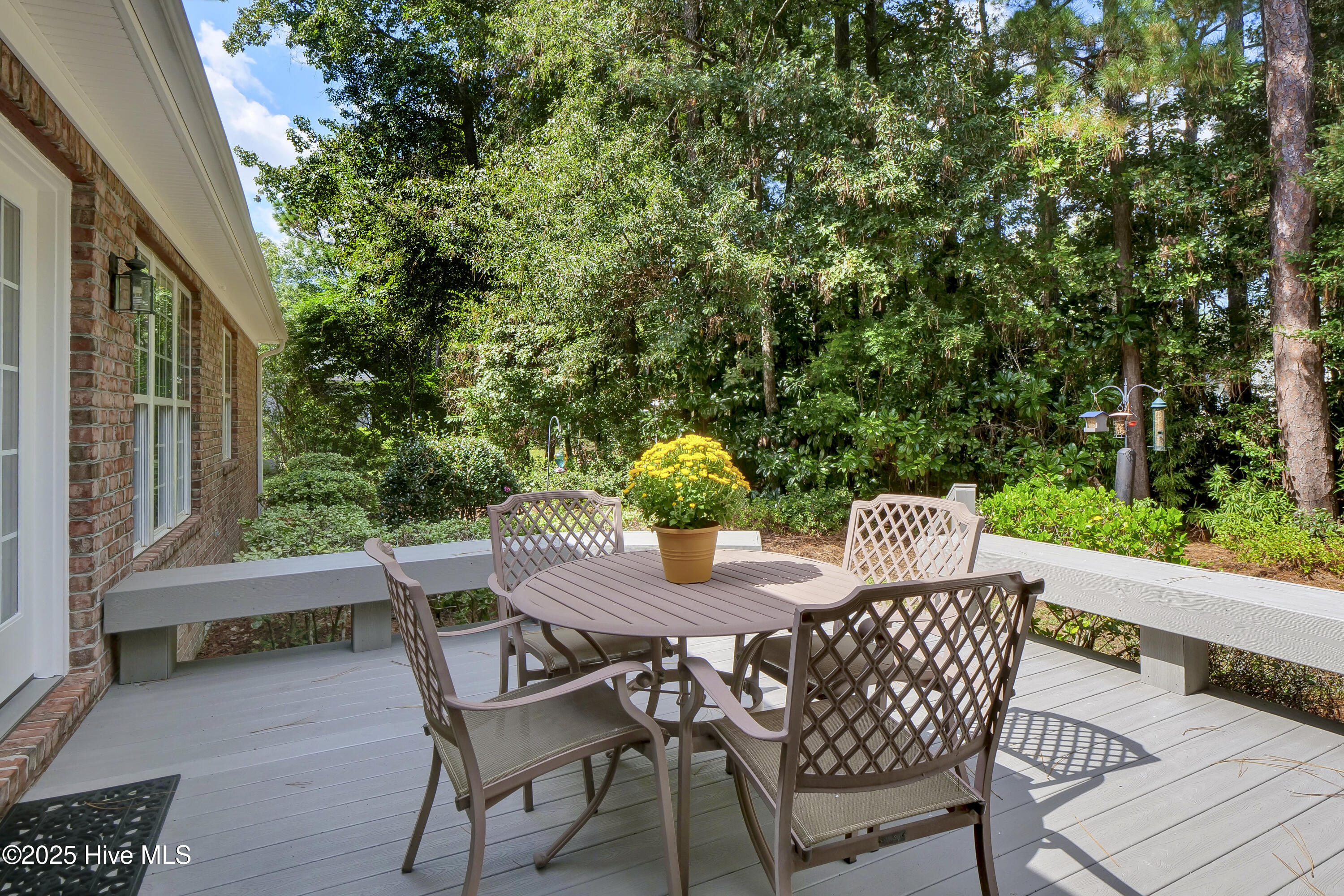 100533946 | Photo 43