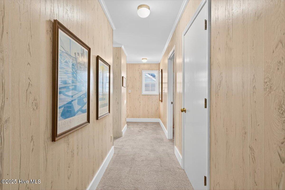 100531242 | Photo 41