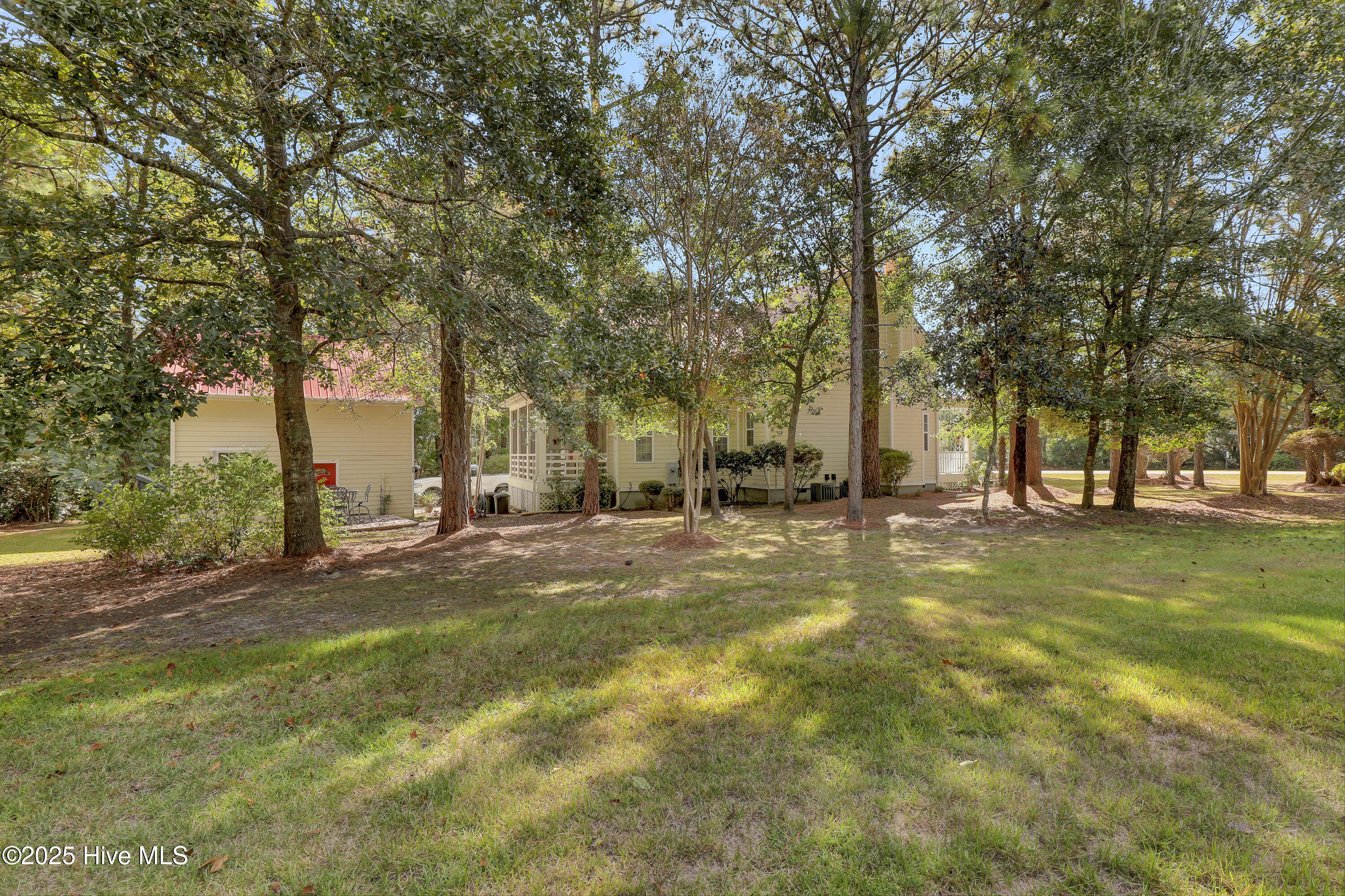 100532986 | Photo 39