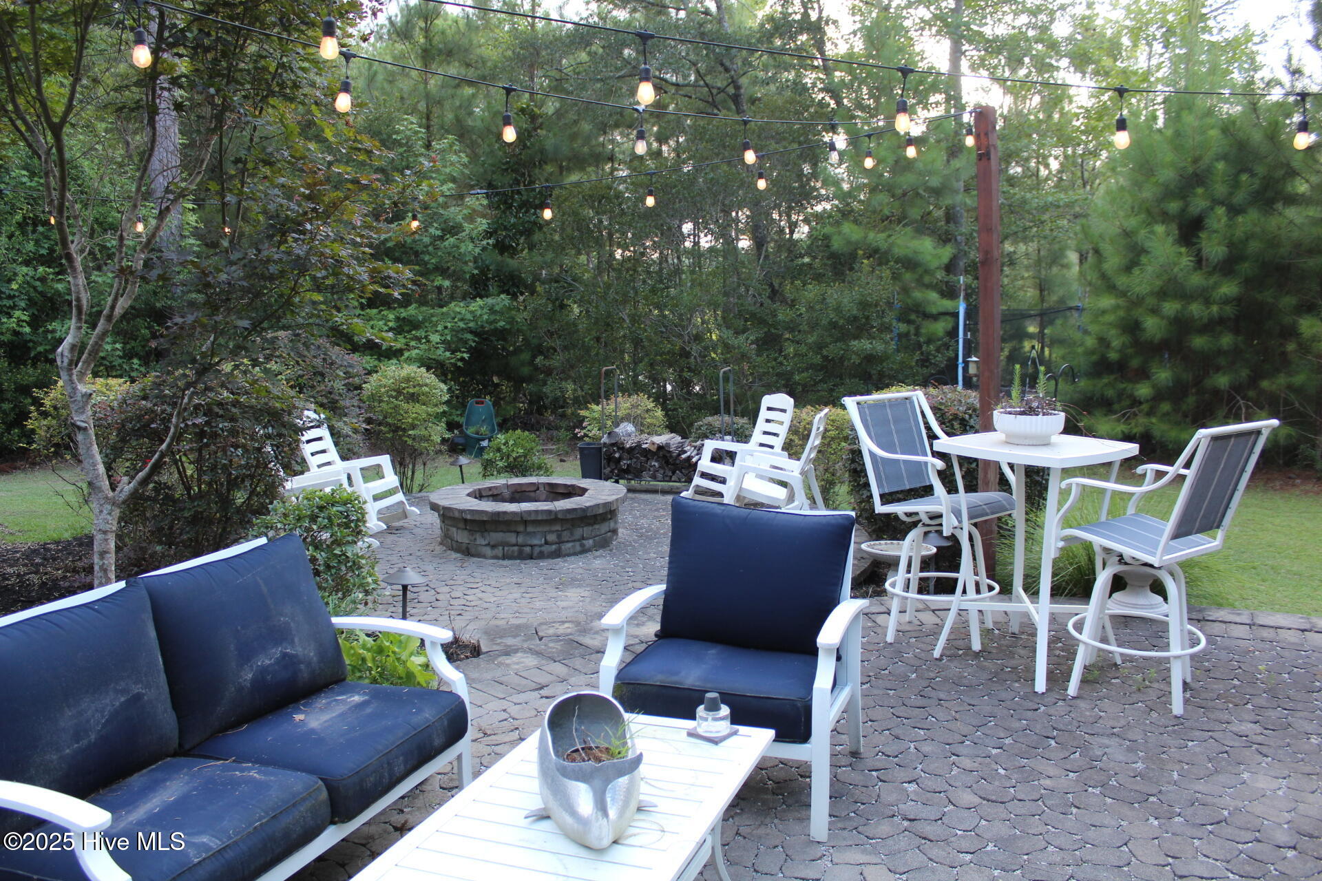 100518933 | Photo 15