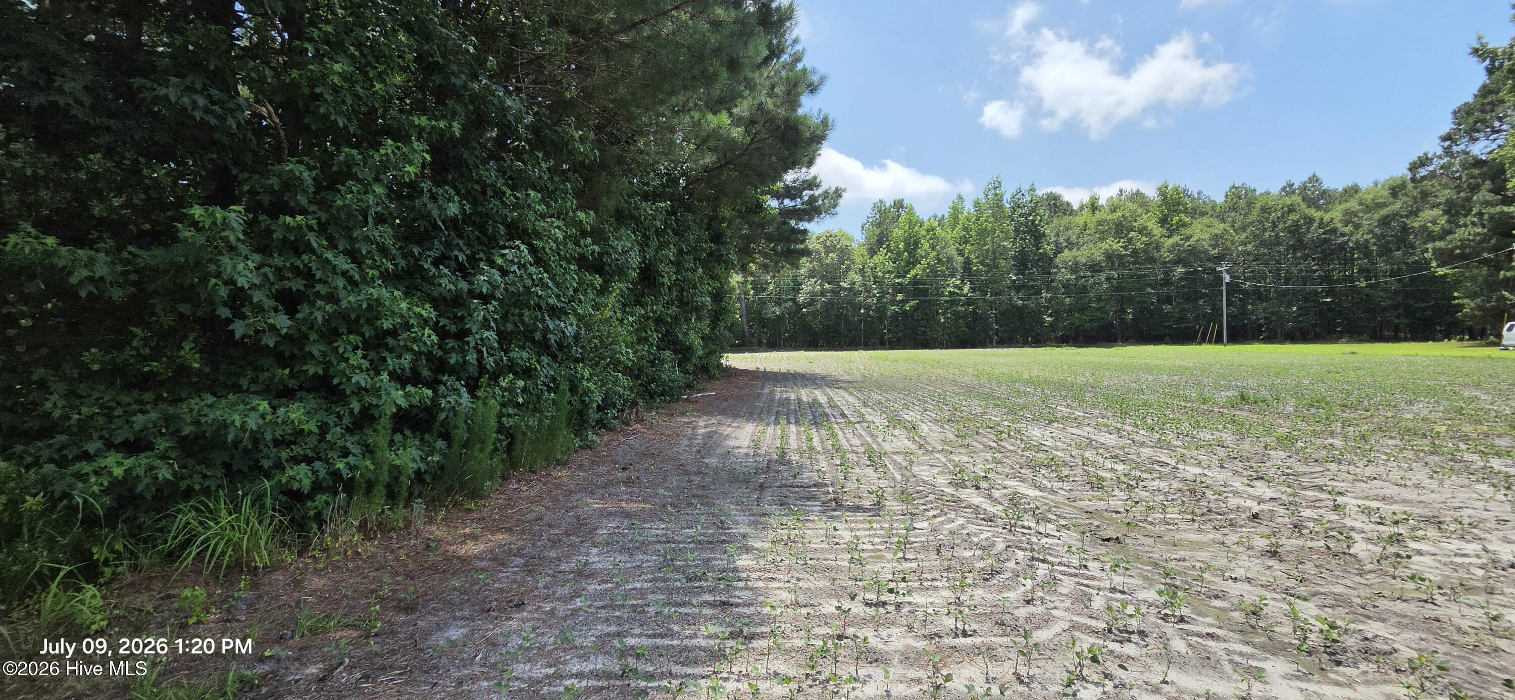 Exterior photo of 000 Drum Hill Road, Gates, NC 27937. MLS: 100587550