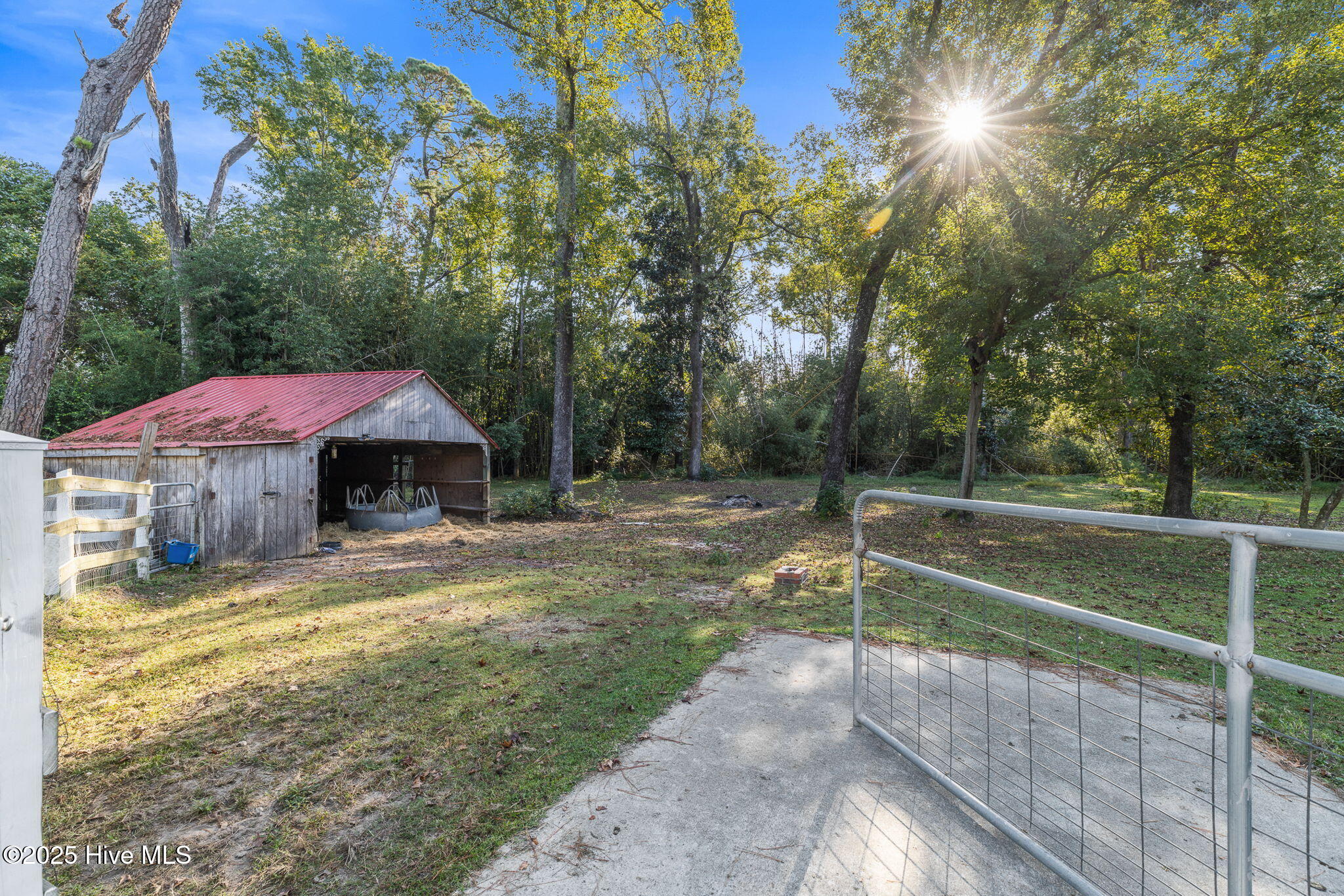 100533679 | Photo 64