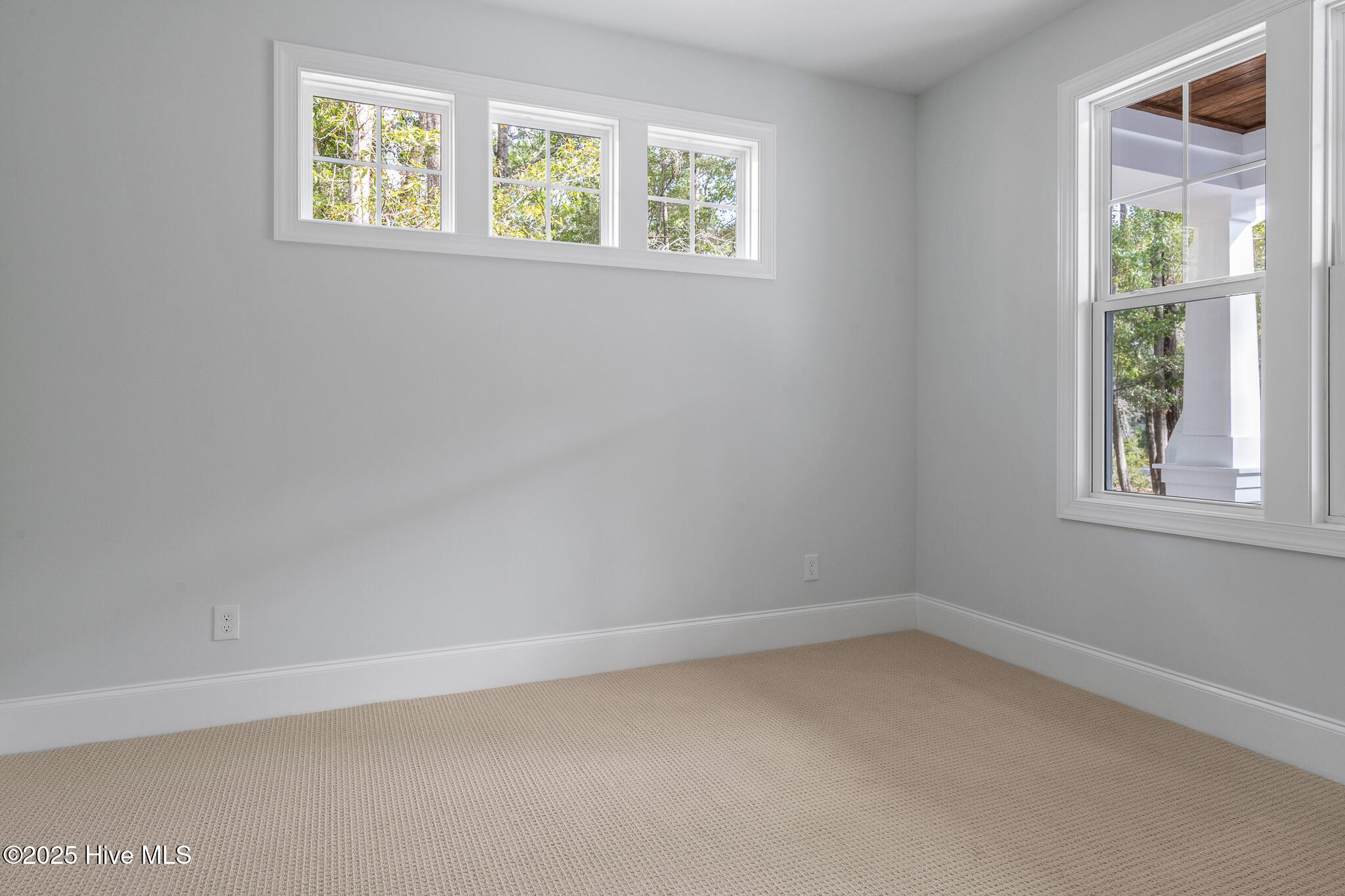 100535512 | Photo 43