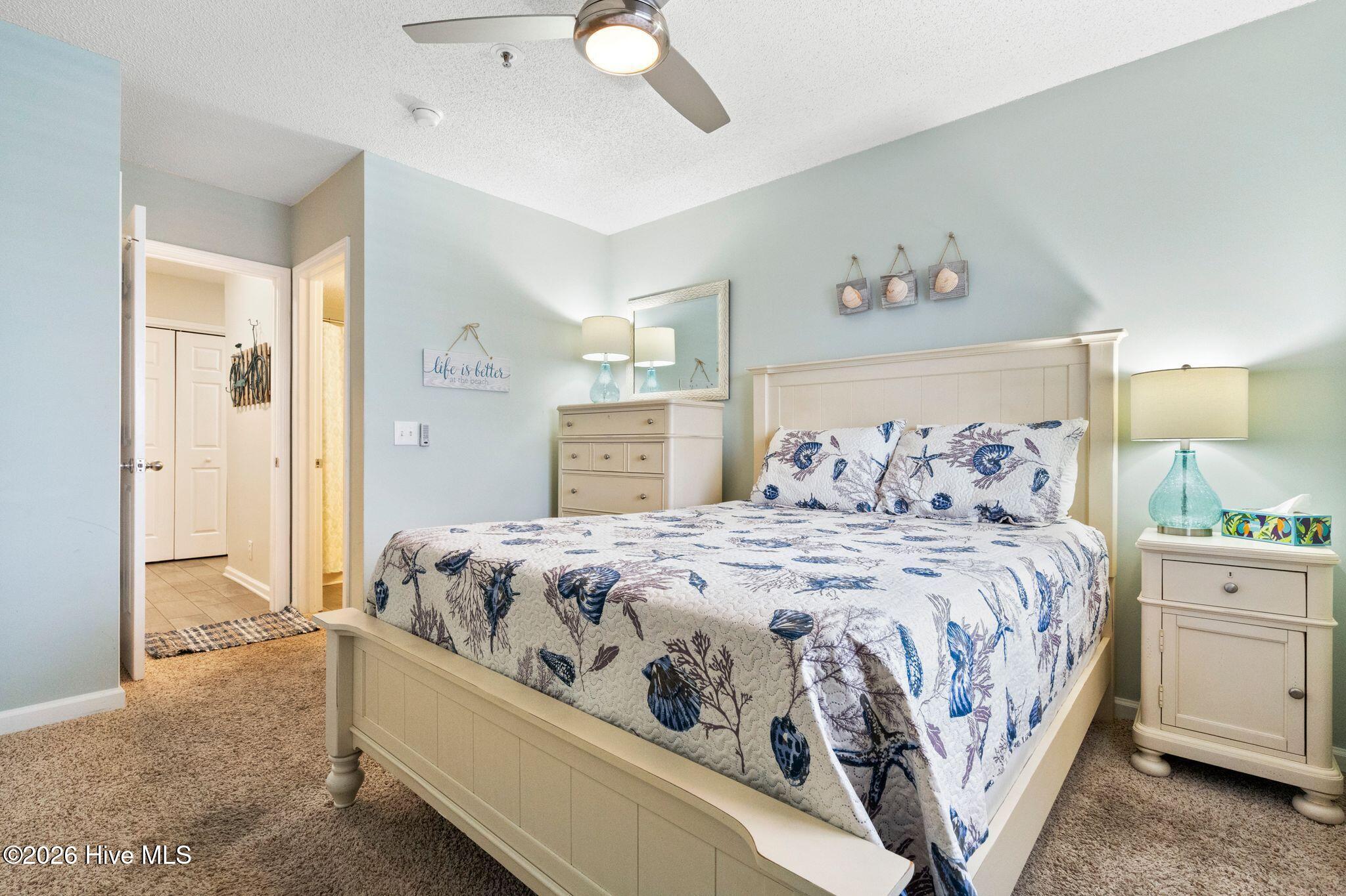 100551504 | Photo 23