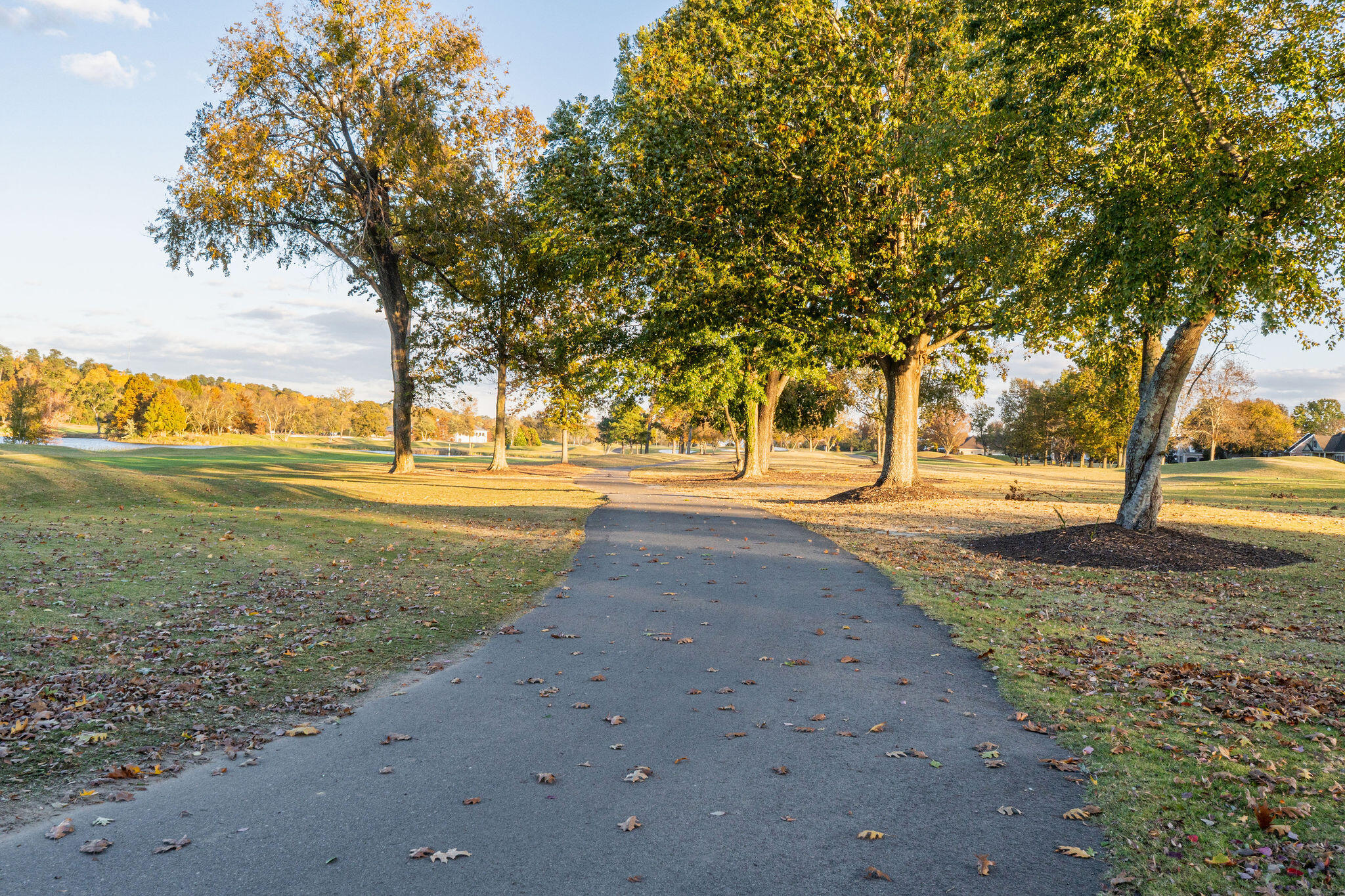 Homes for sale in North Augusta, SC | 347 Landing Dr, North Augusta, SC 29841 | MLS# 549314