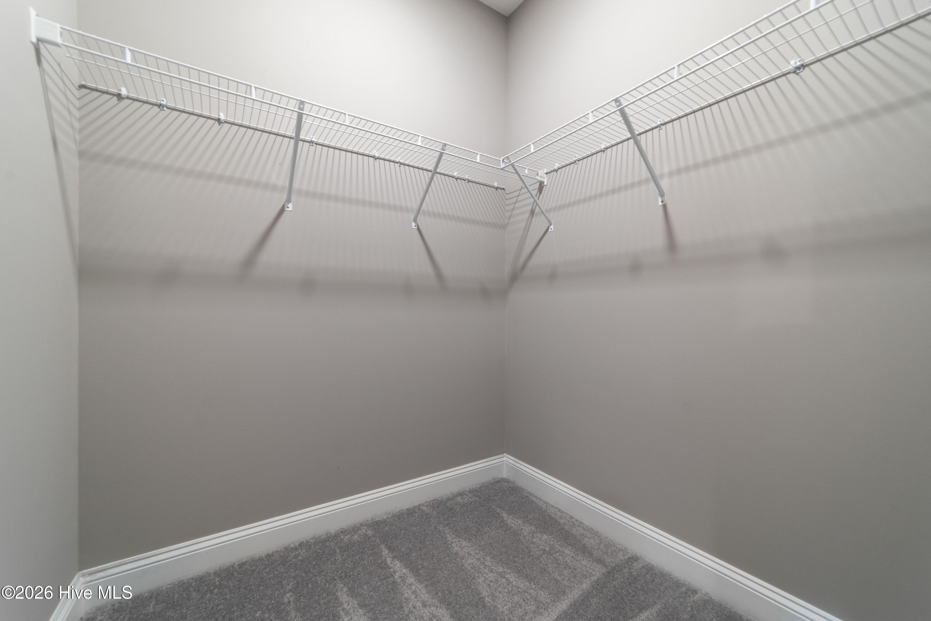 100579197 | Photo 21