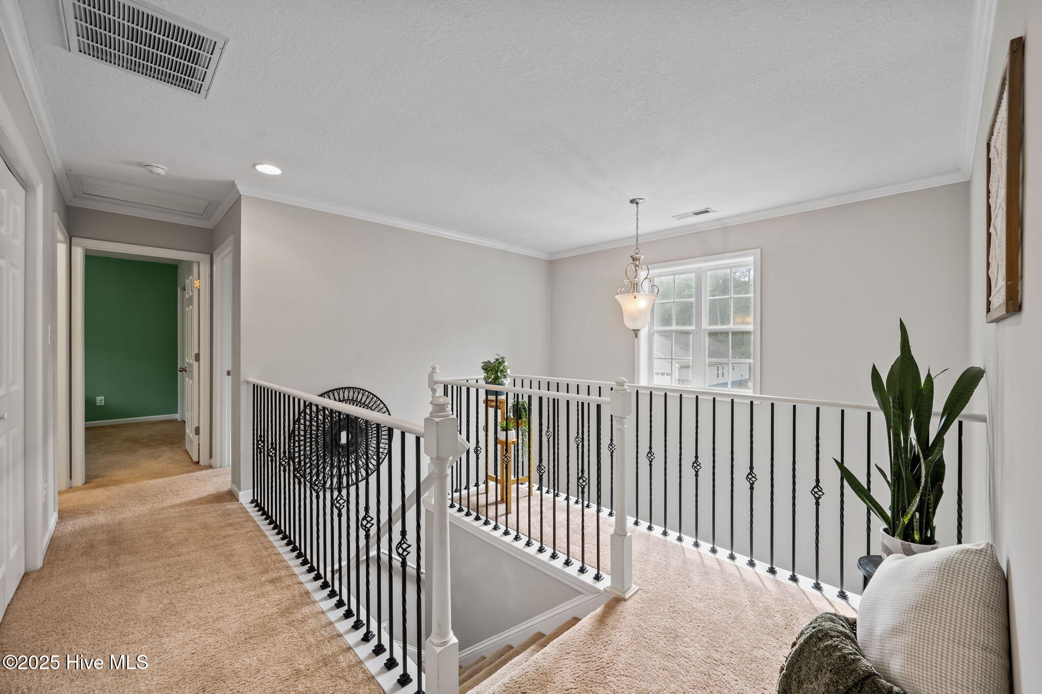316 Sugarberry Court, Jacksonville, NC 28540 – photo 19: 36-web-or-mls-_RAD0251