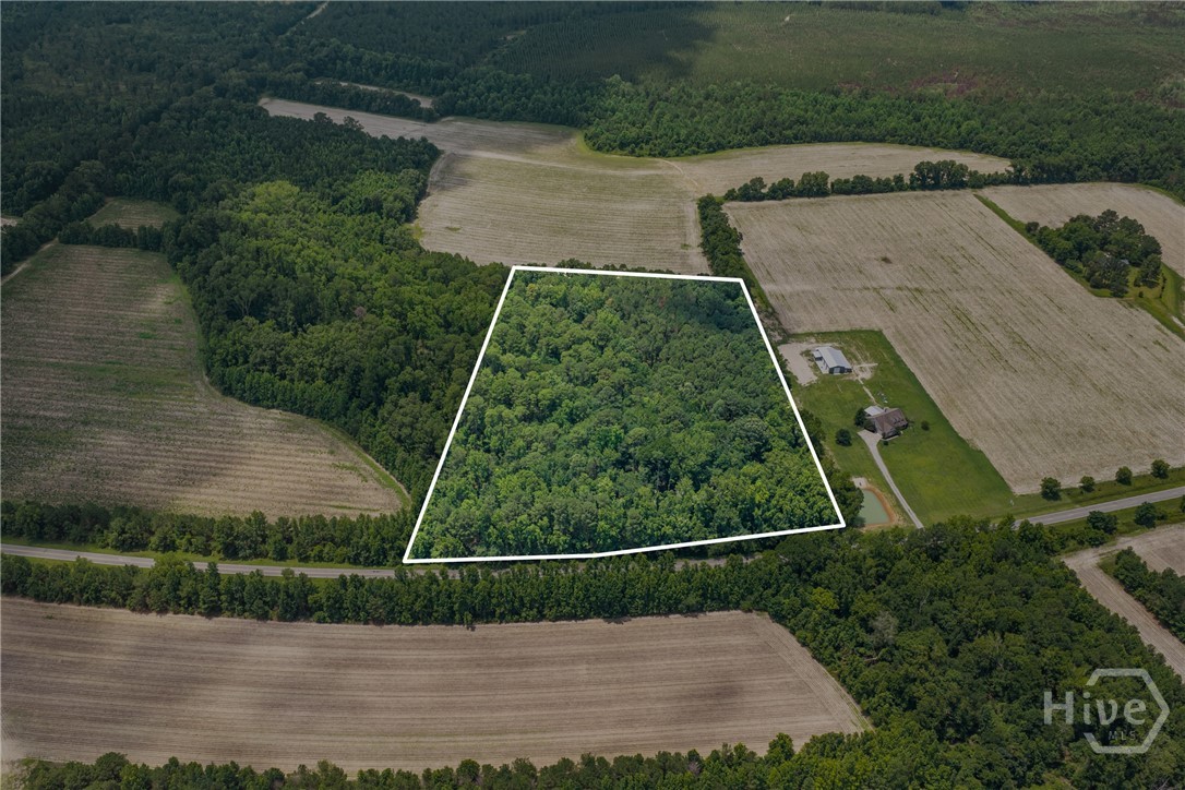 3rd image of 0 N Old River Road, Statesboro, GA 30425 | MLS# SA361592