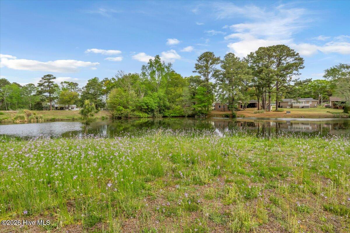 100566058 | Photo 55