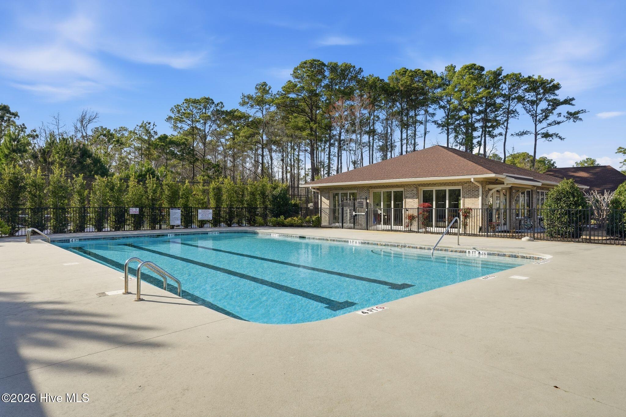 100564564 | Photo 67