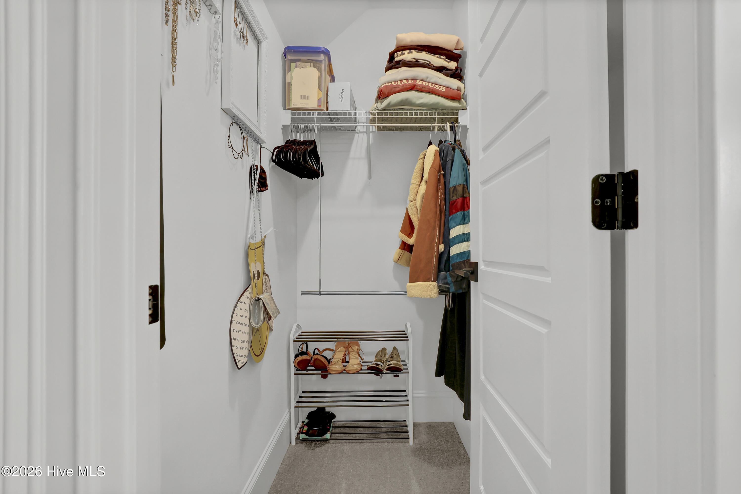 100558429 | Photo 39