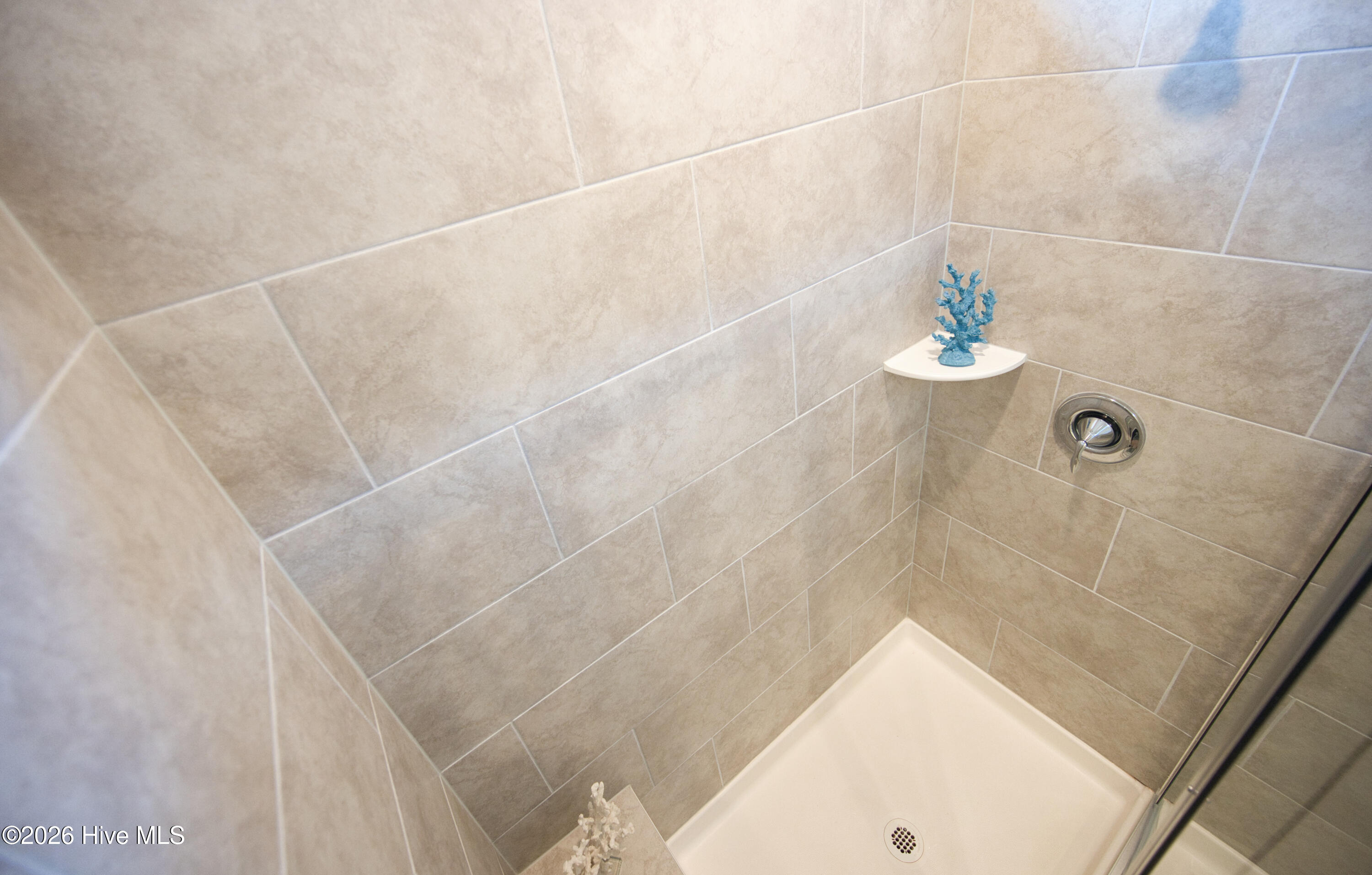 100559386 | Photo 33