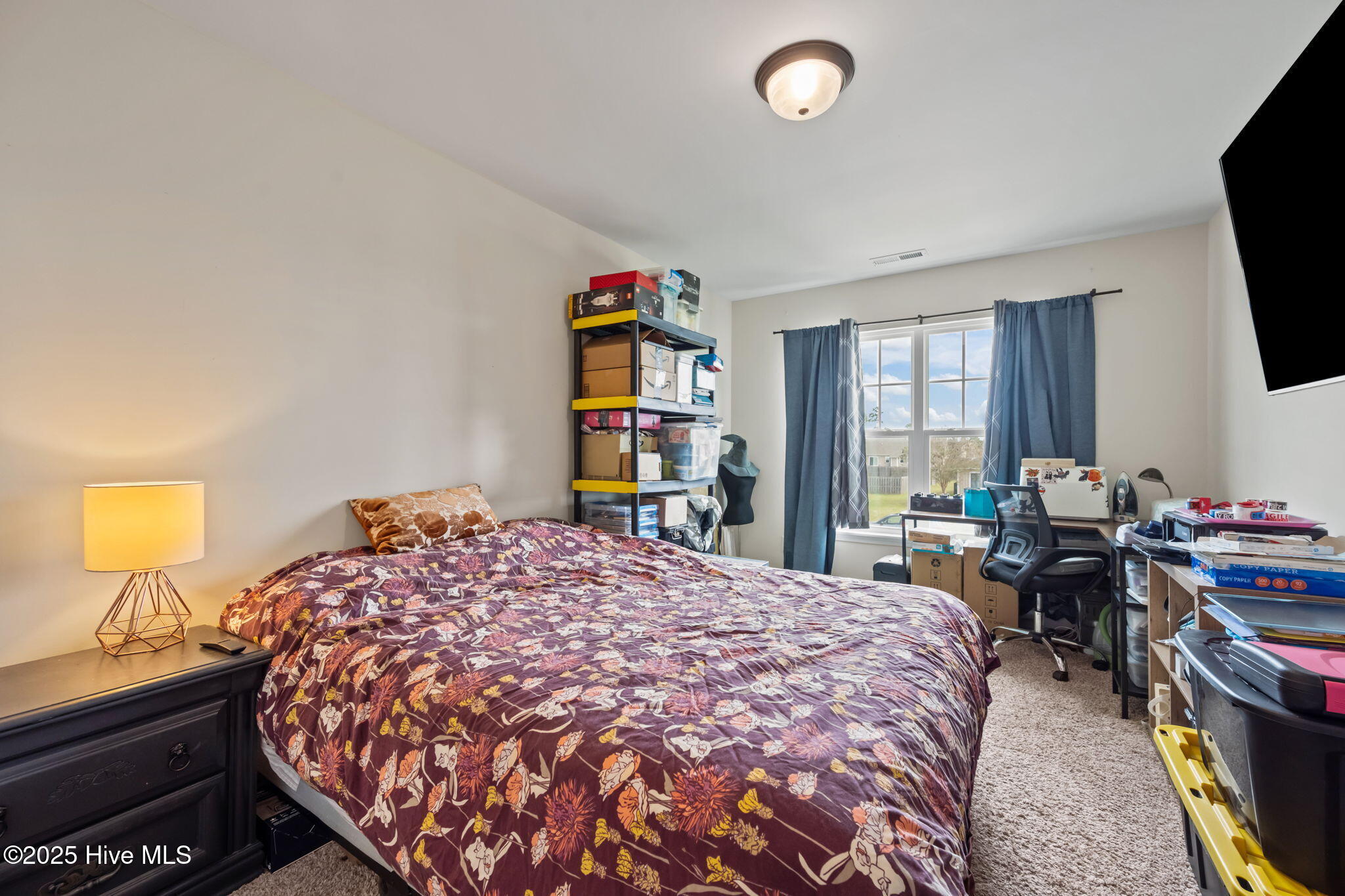 100534756 | Photo 25