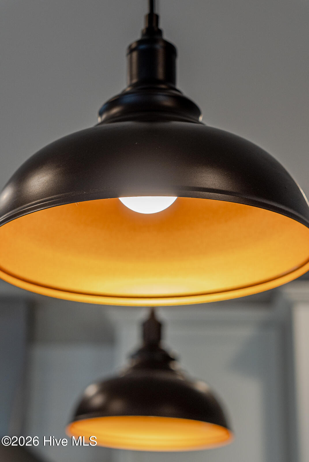 100555037 | Photo 27