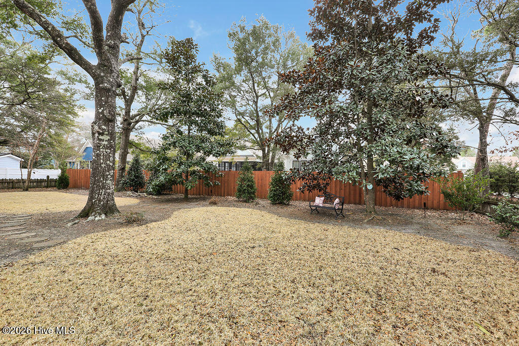 100554973 | Photo 43