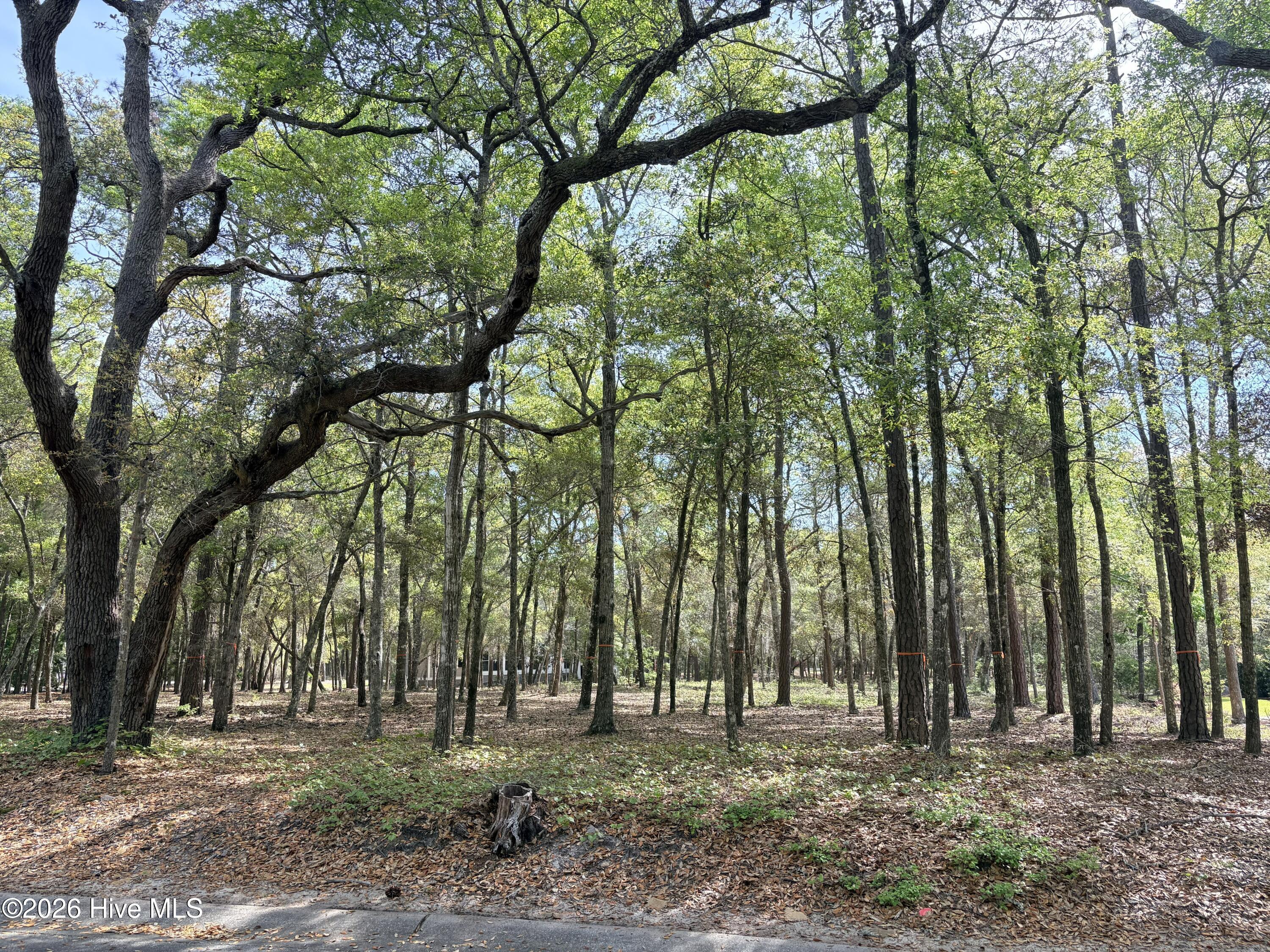 3456 Concordia Avenue SW, Supply, NC, 28462