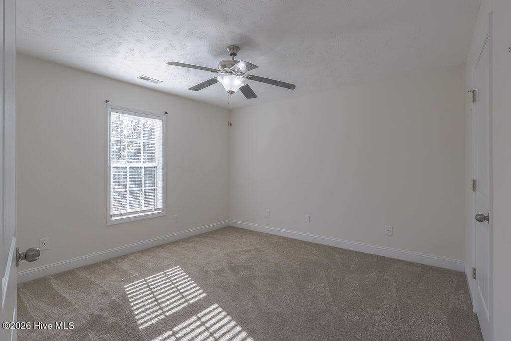 100548131 | Photo 31