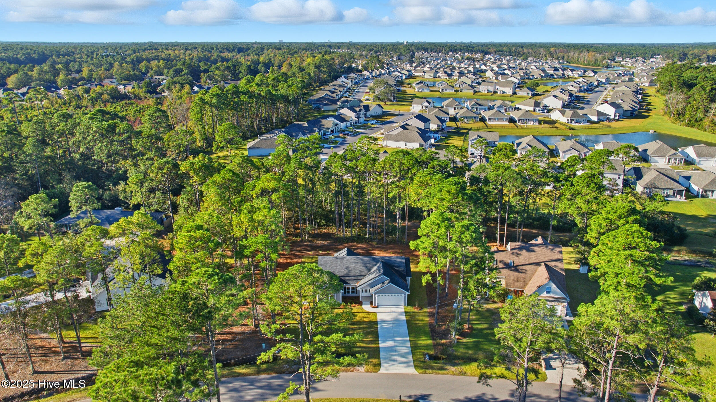 100504171 | Photo 22