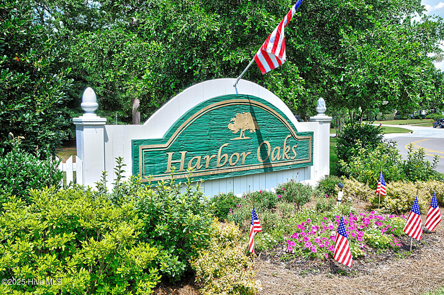 100516438 | Photo 50