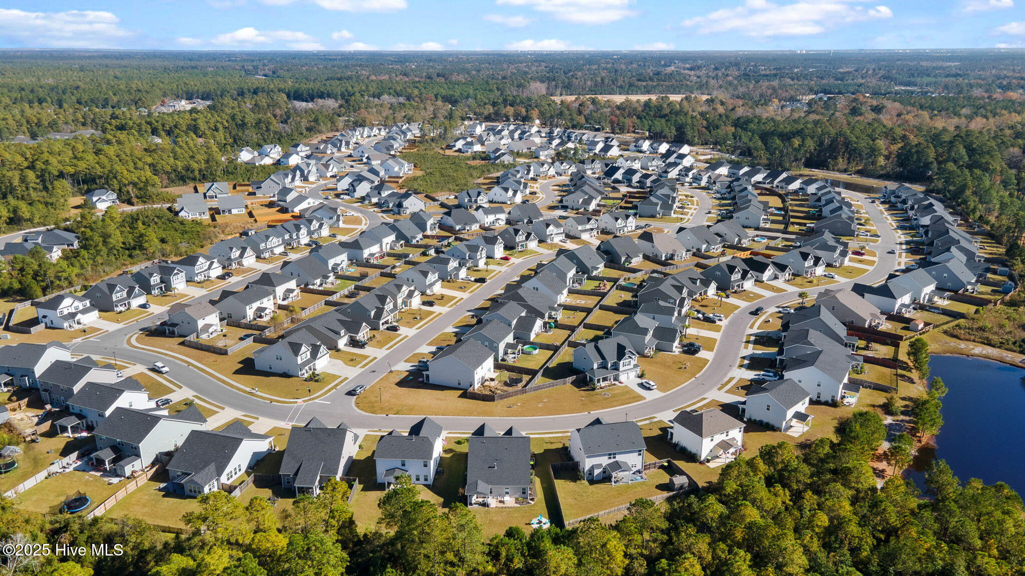 100541637 | Photo 57